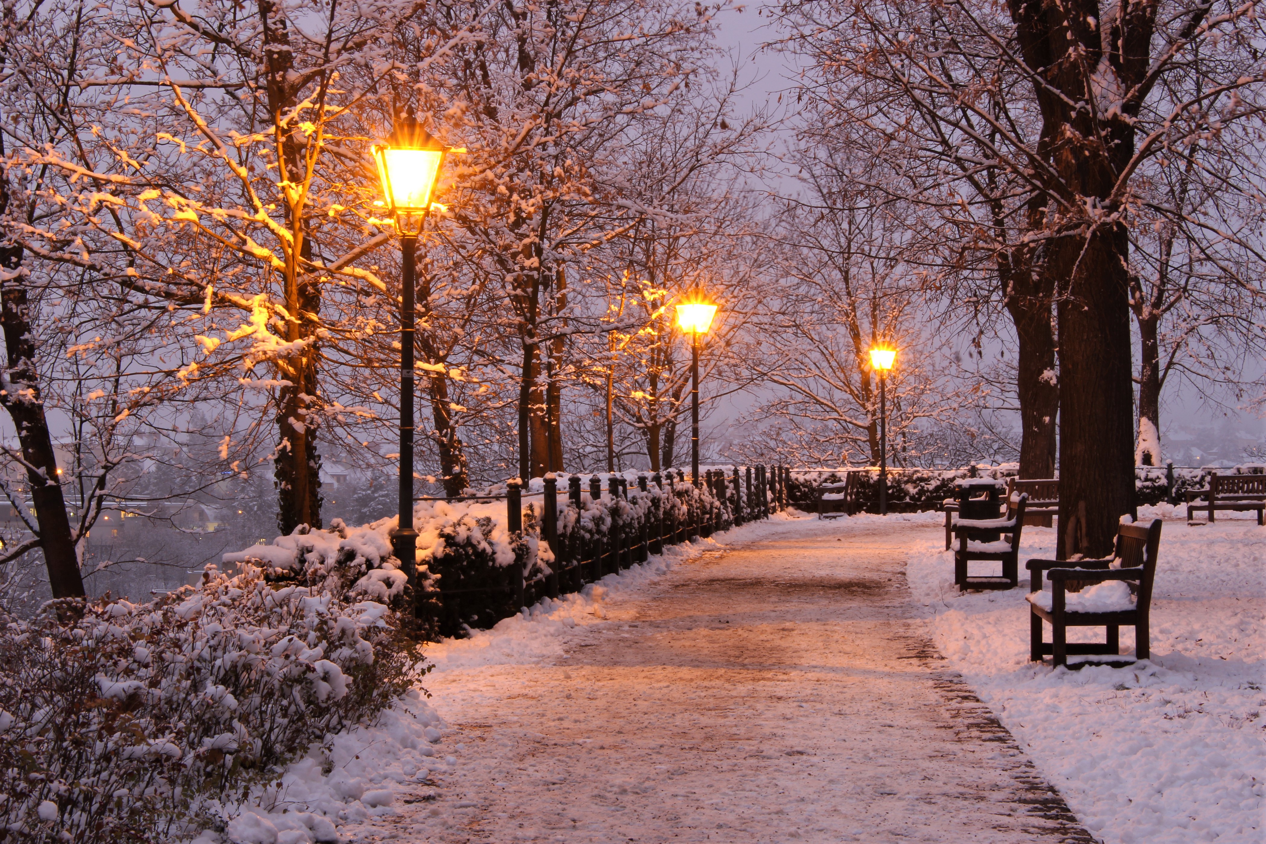 красивая зима в парке