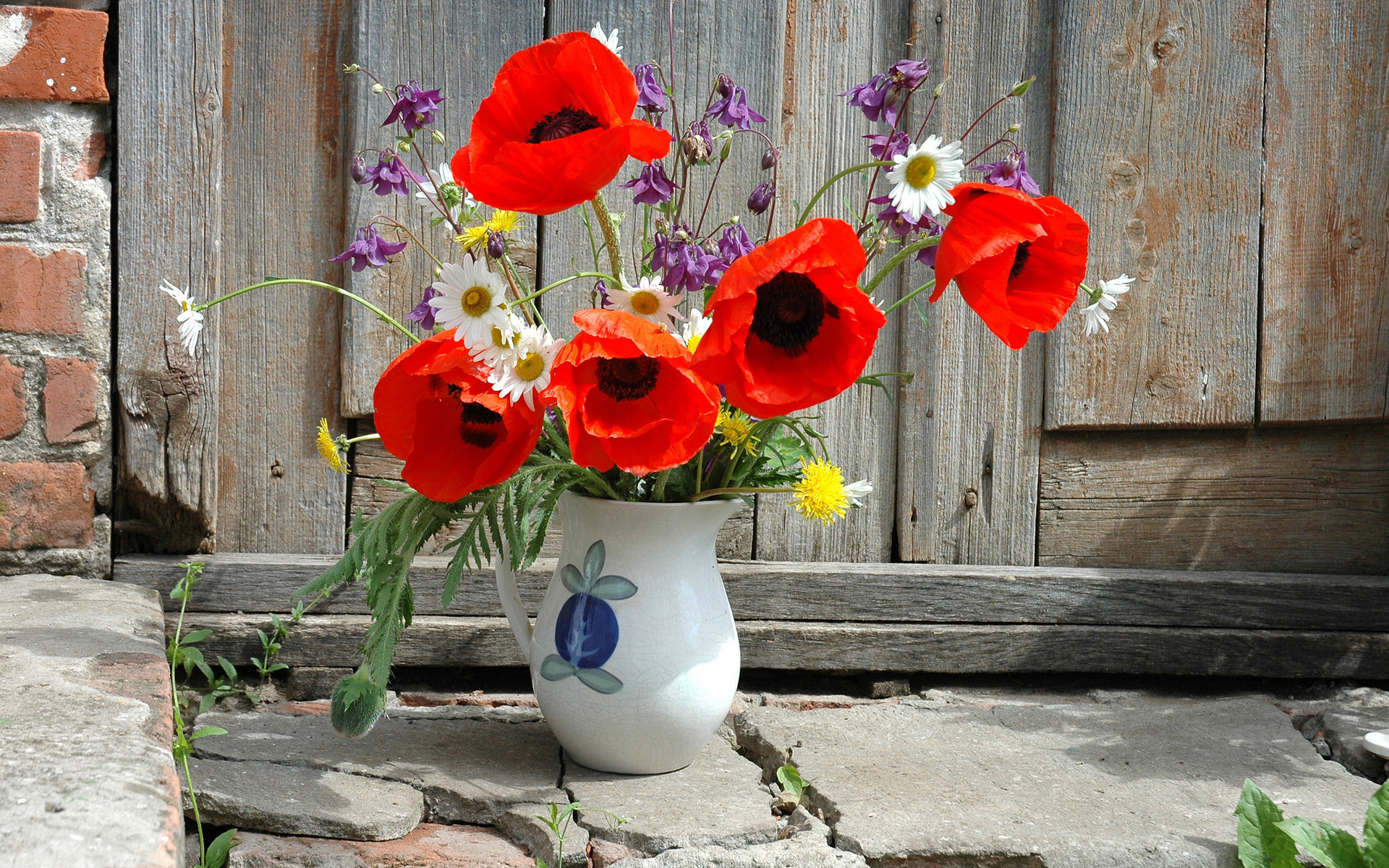 550159 descargar fondo de pantalla fotografía, bodegón, flor, jarrón: protectores de pantalla e imágenes gratis