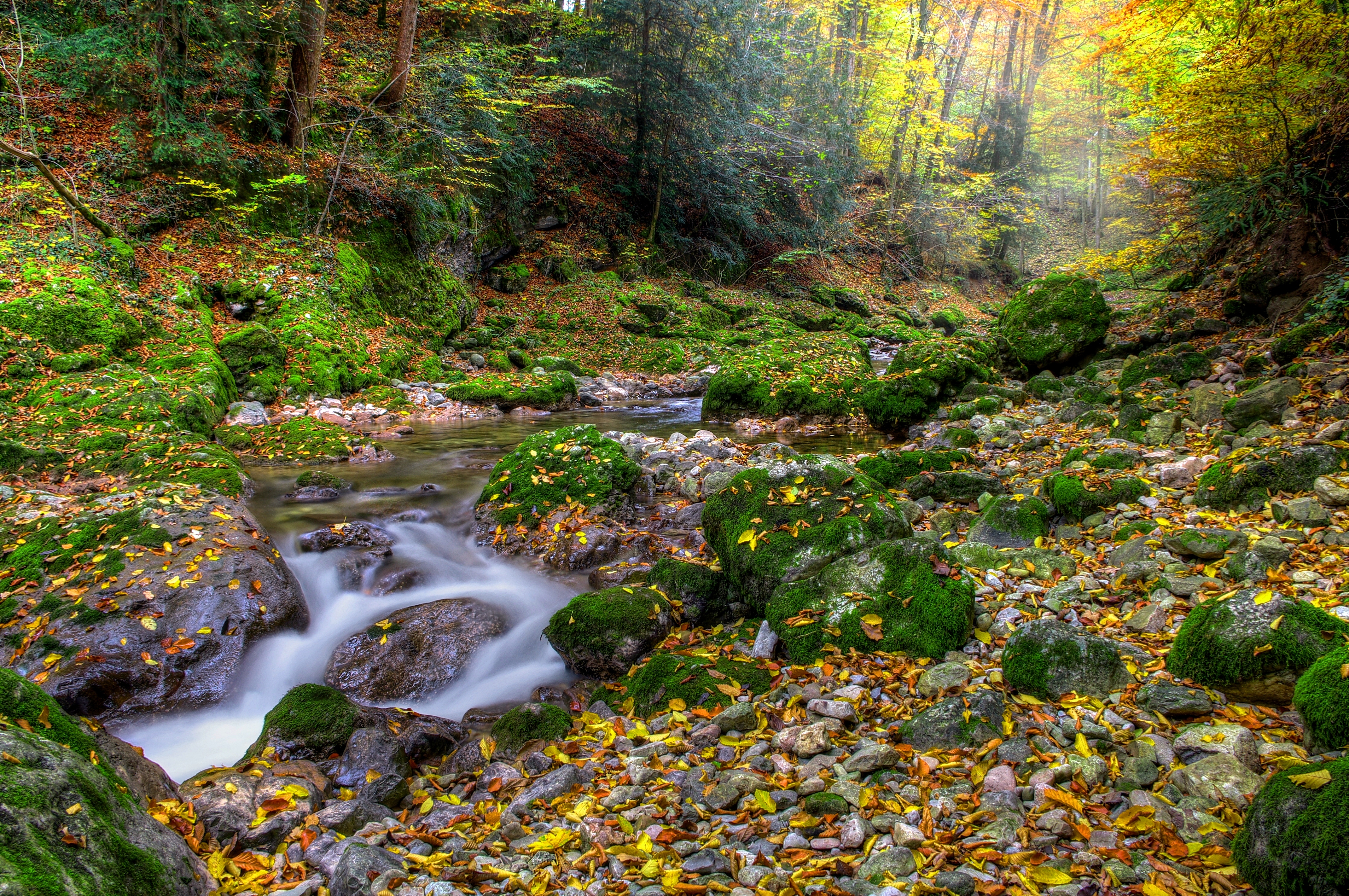 Handy-Wallpaper Natur, Fluss, Stones, Herbst, Wald, Landschaft kostenlos herunterladen.