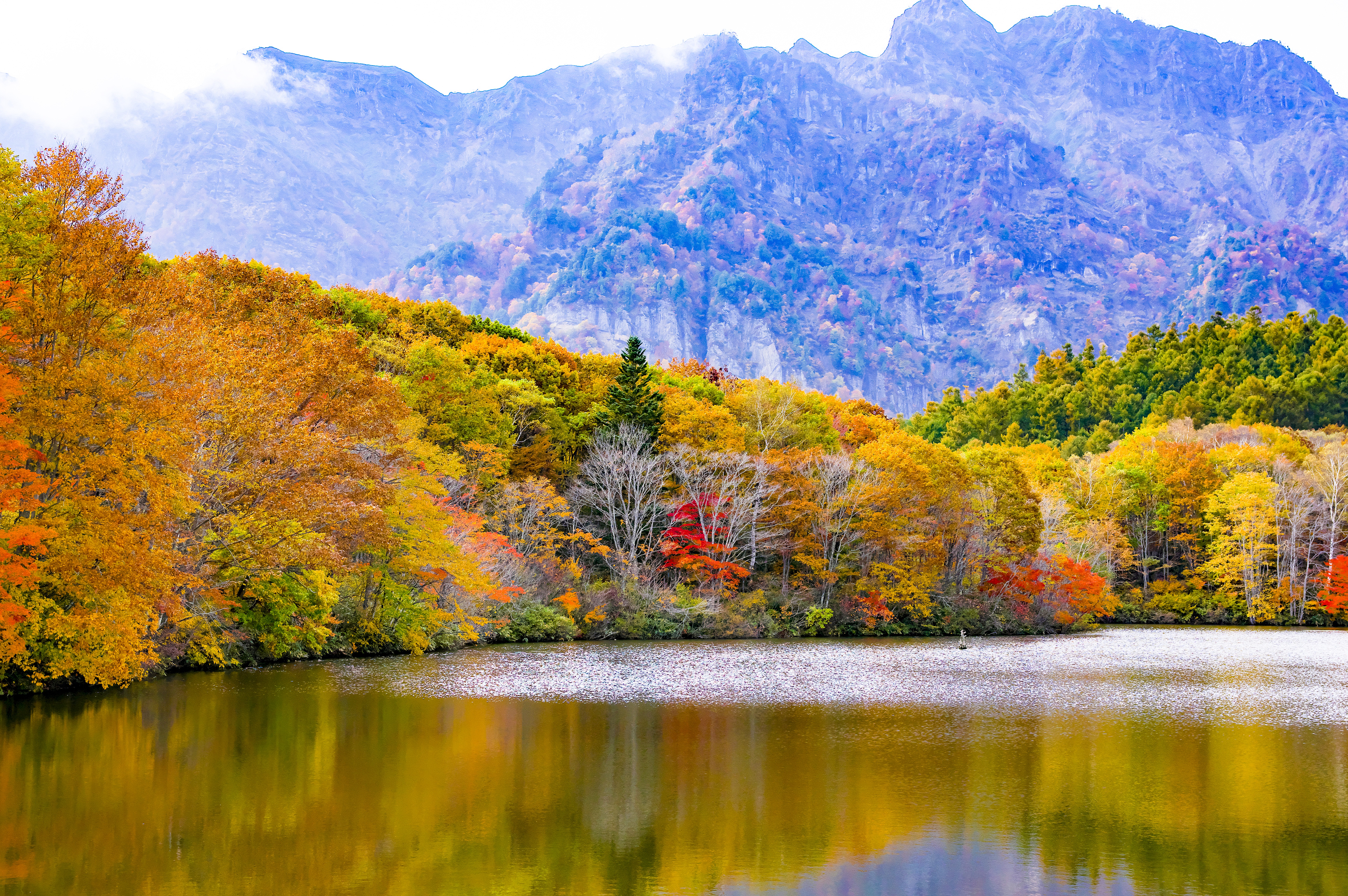 Download mobile wallpaper Togakushi, Togakusi, Trees, Lake, Mountains, Nature, Autumn, Japan for free.