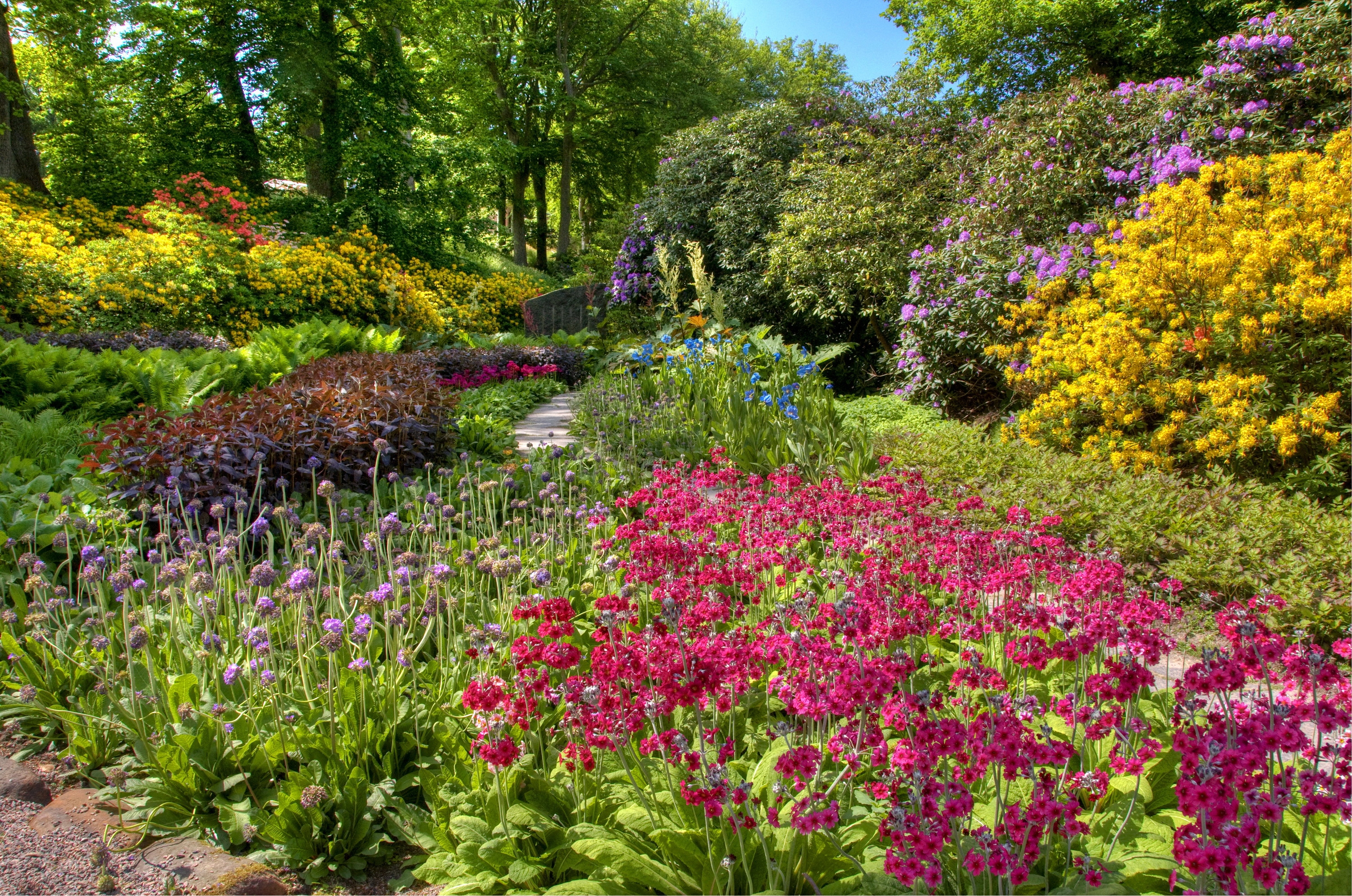android garden, nature, flowers, bush, colors, color, assorted, abundance, flower beds