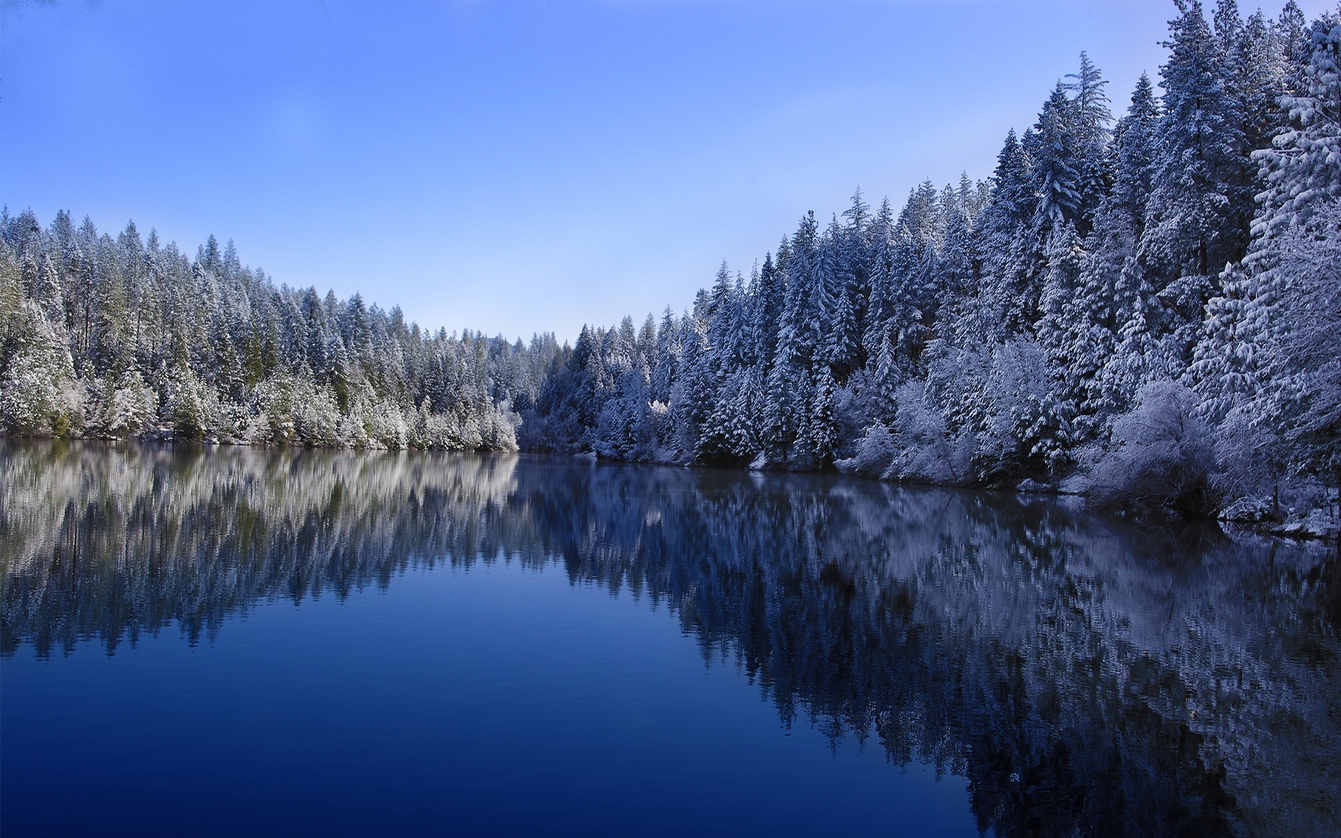 Новый год в озерах. Зимнее озеро. Зима лес озеро. Зимнее озеро в лесу. Зимний лес с рекой.
