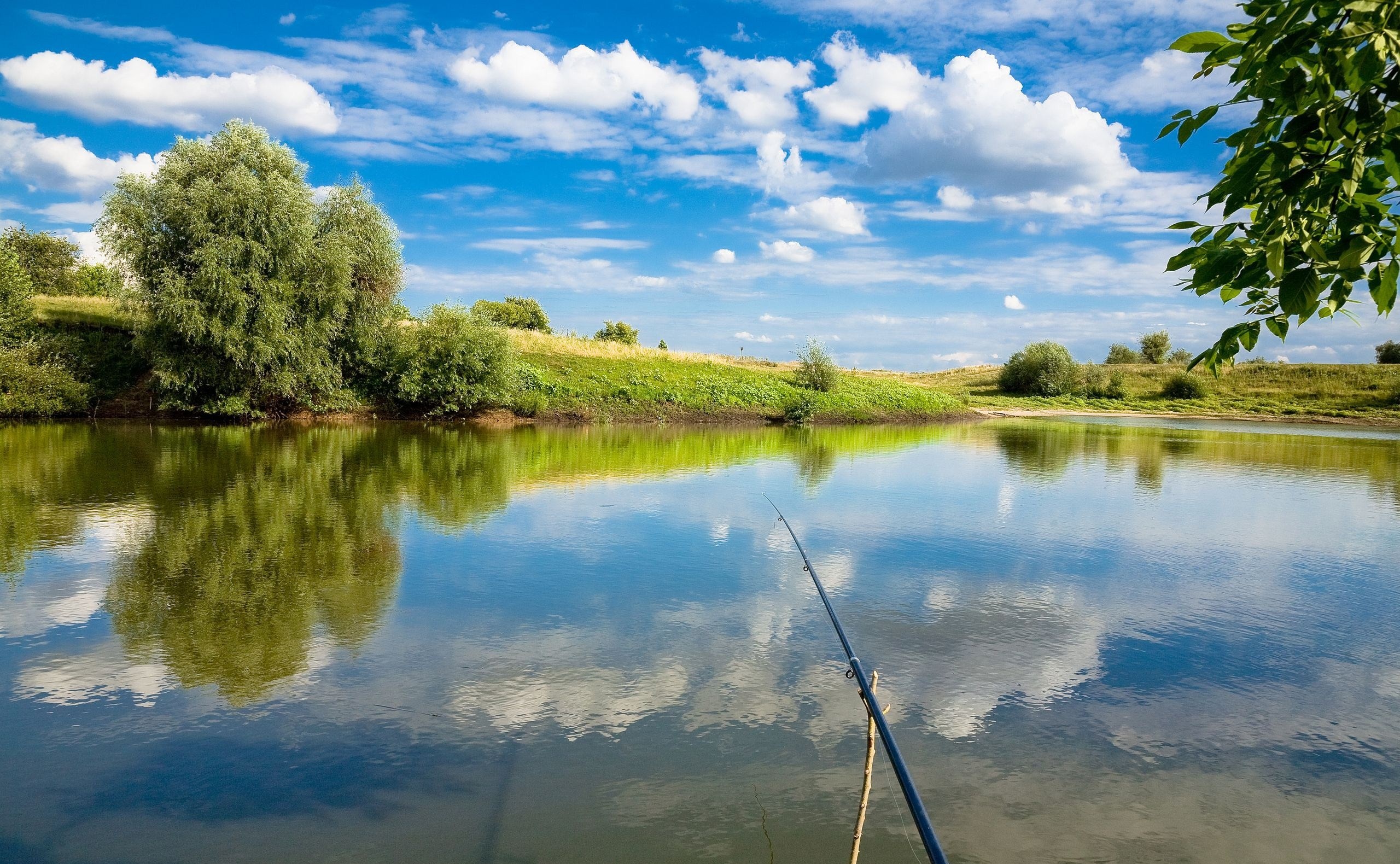 Best Fishing Rod Background for mobile