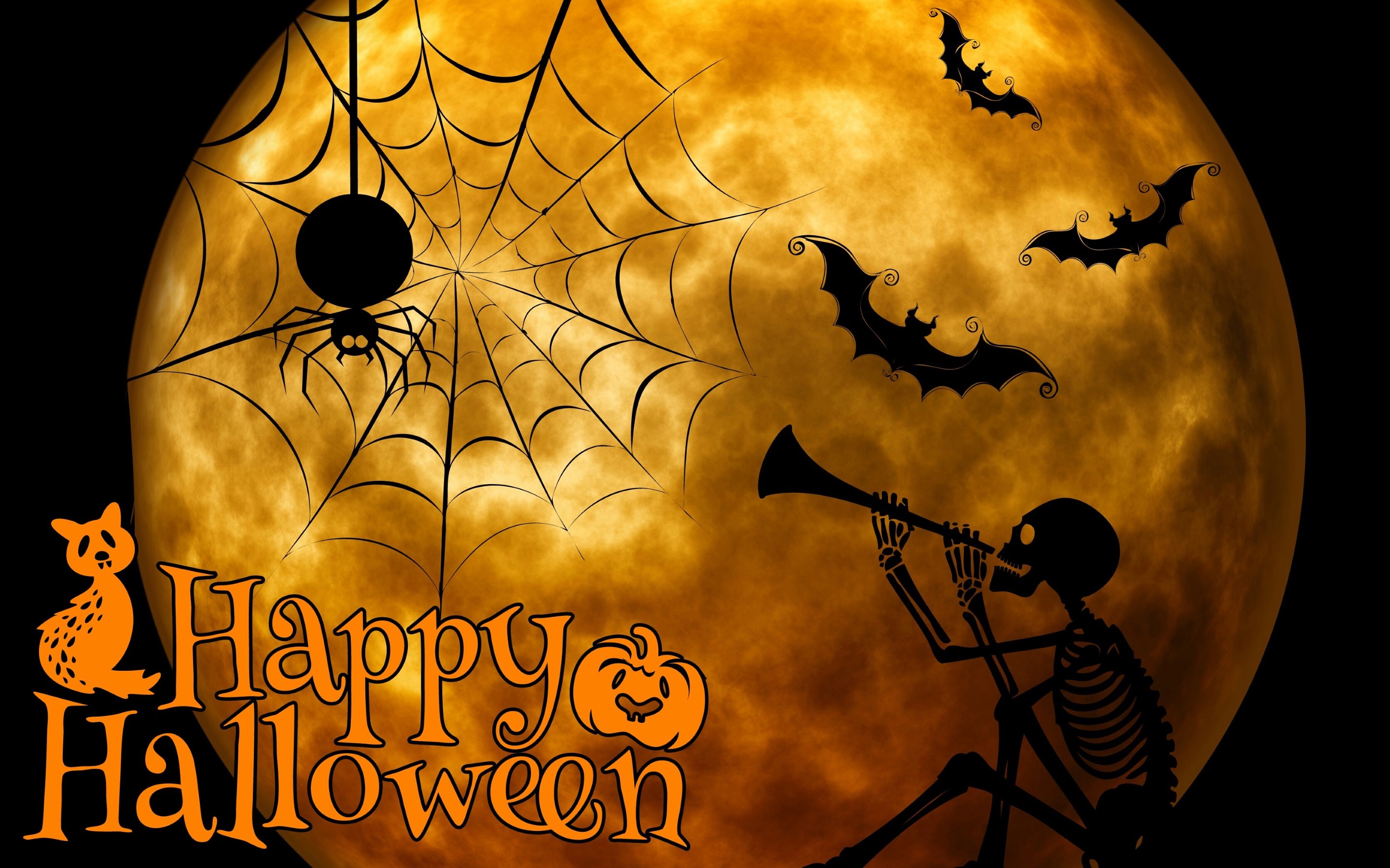 wallpapers holiday, halloween, bat, skeleton, spider