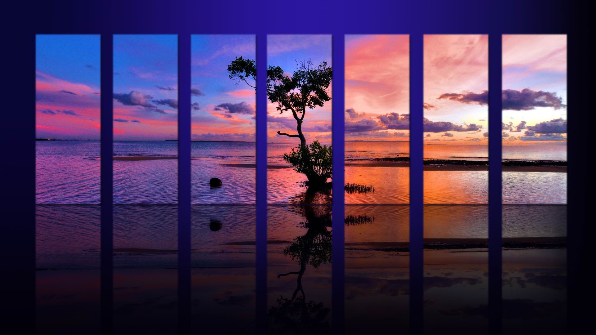 558100 descargar imagen artístico, oceano, árbol, agua: fondos de pantalla y protectores de pantalla gratis