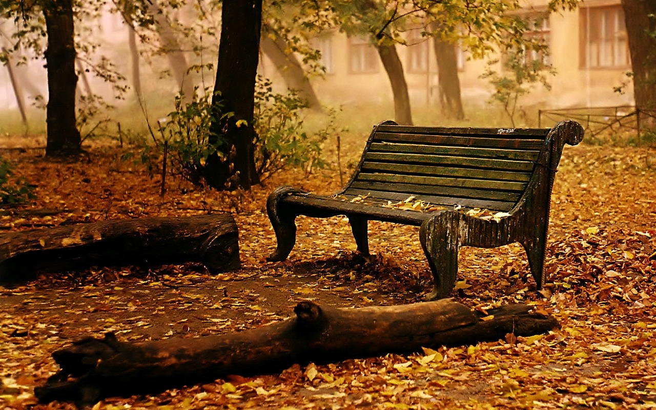 免费下载景观, 秋, 艺术照手机壁纸。