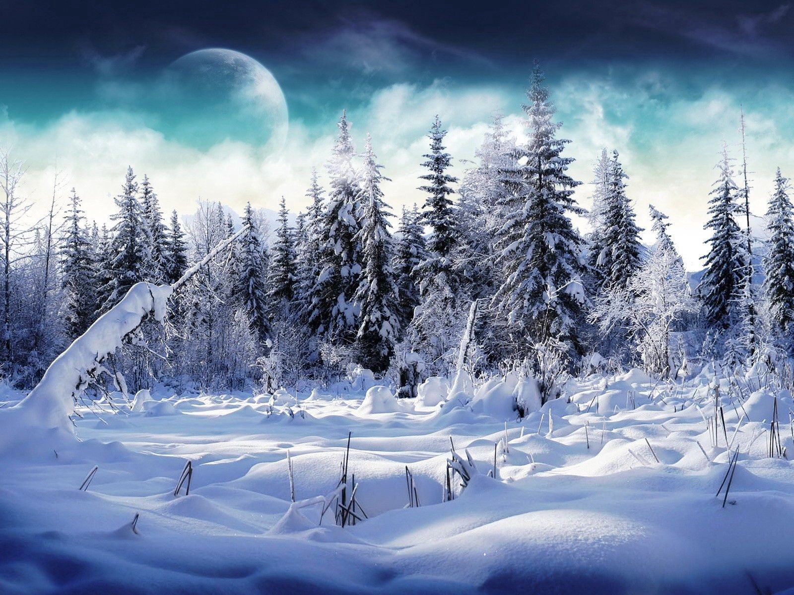 moon, fantasy, snow, forest, fog, drifts, ate wallpapers for tablet
