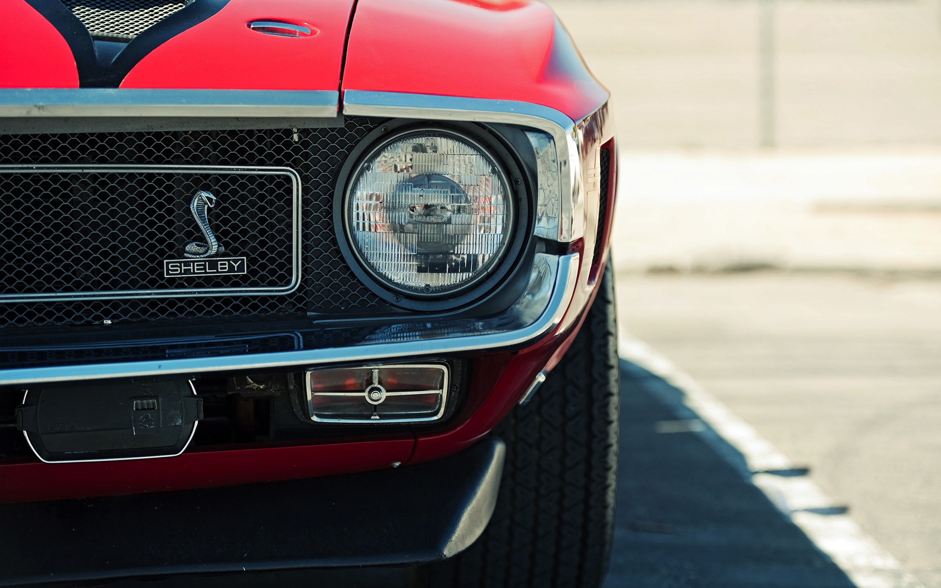Завантажити шпалери Ford Mustang Shelby на телефон безкоштовно
