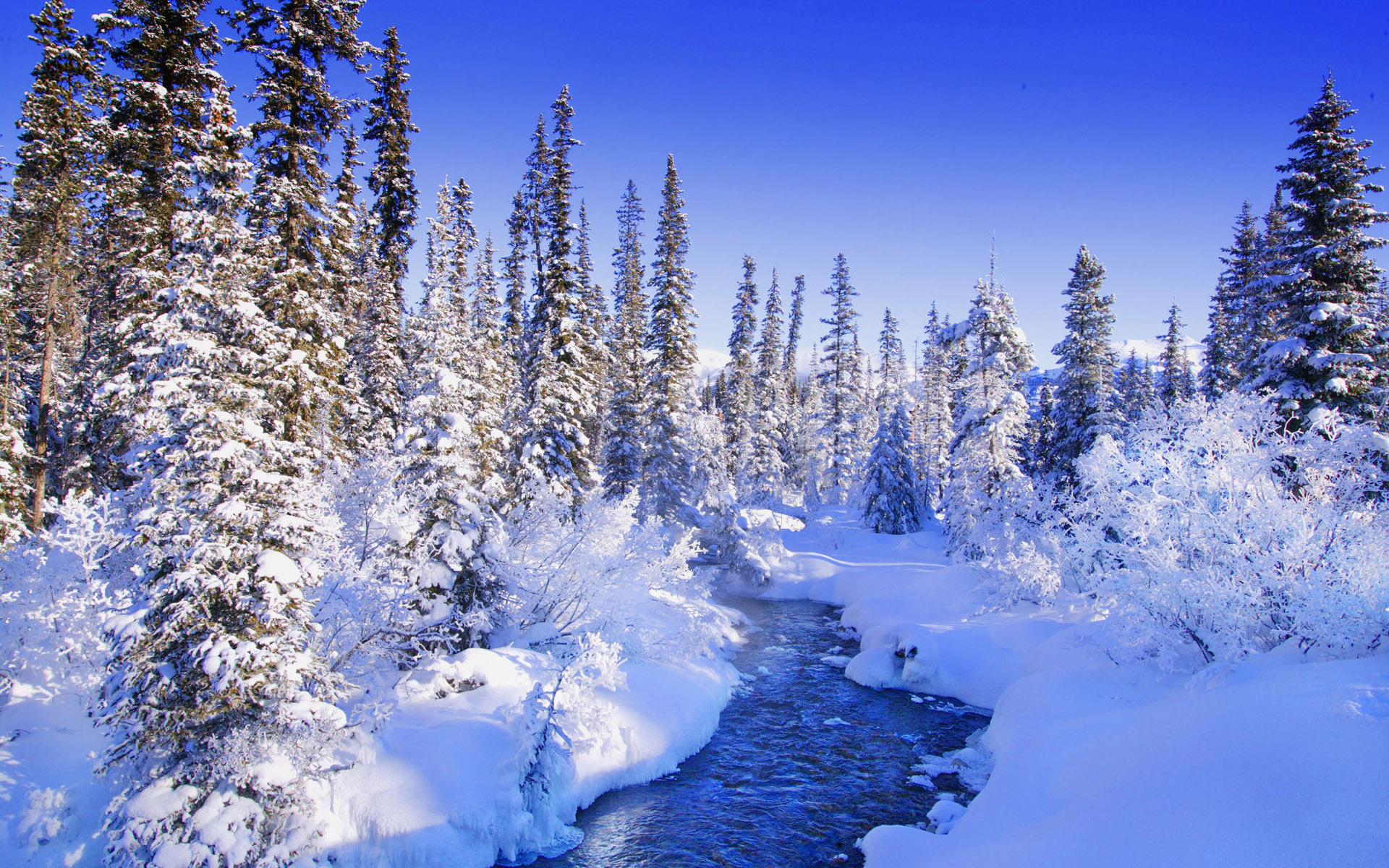 фото зимней природы