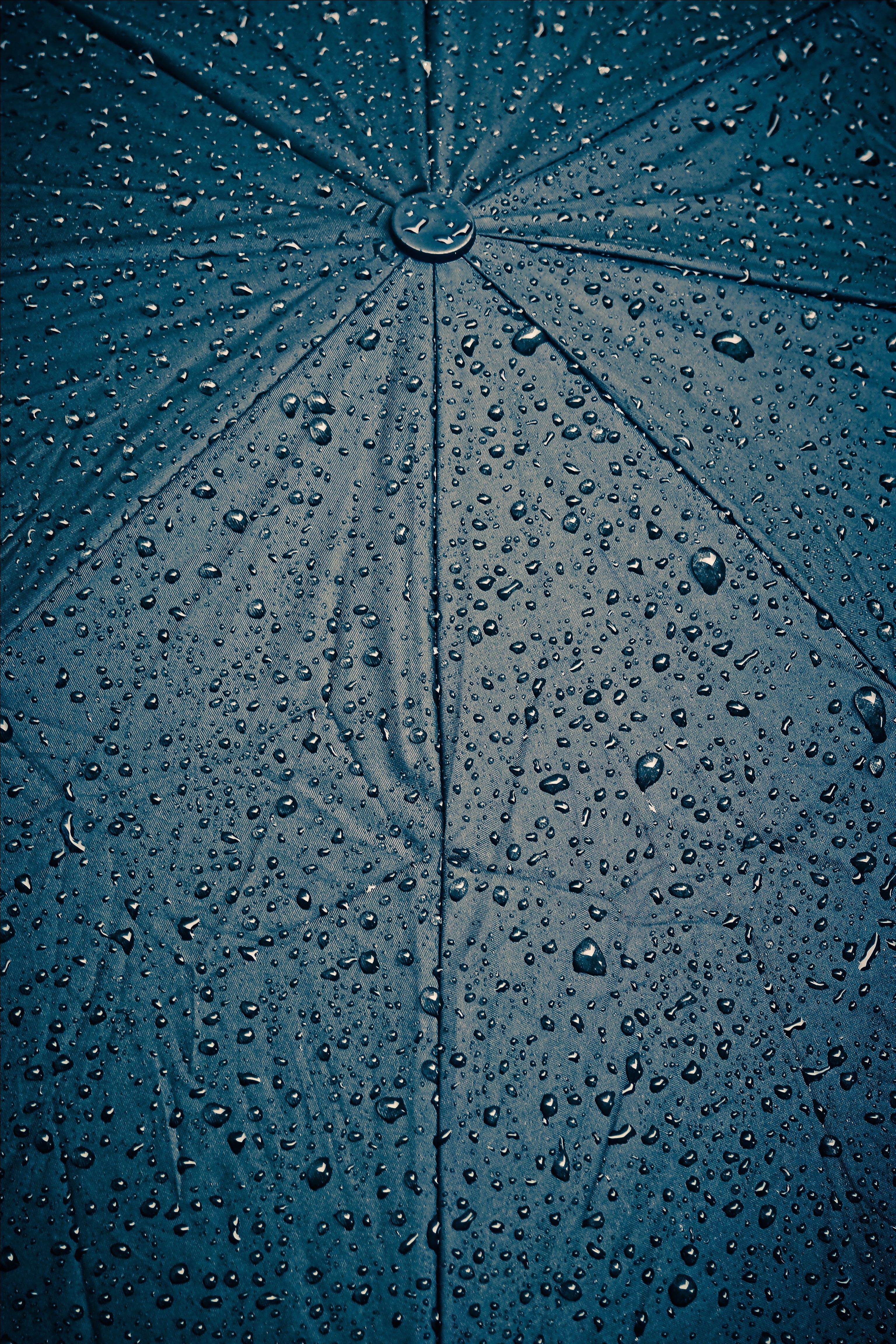 HD wallpaper texture, rain, drops, wet, textures, surface, cloth, umbrella, humid