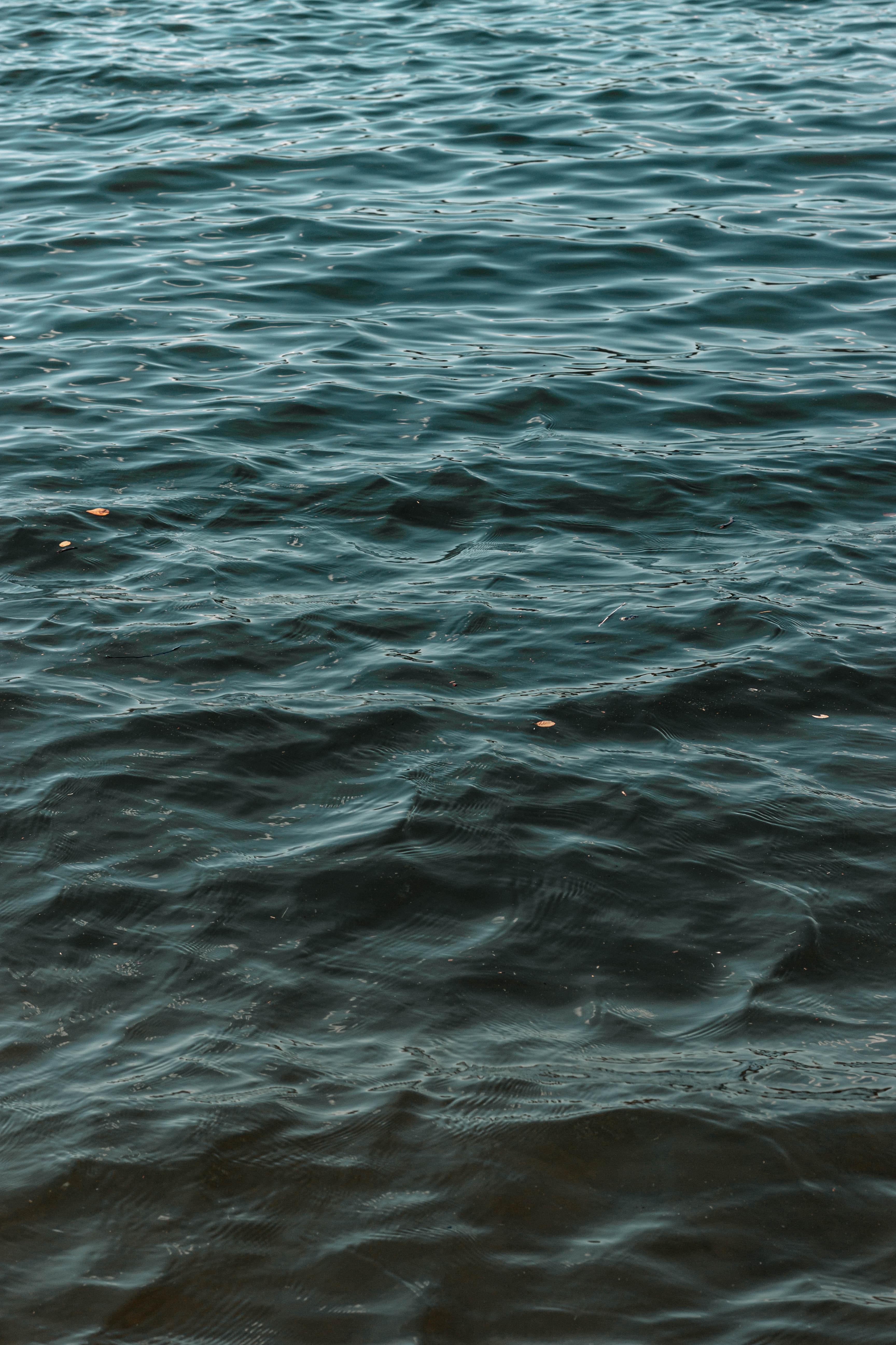 wallpapers ripple, nature, water, waves, ripples, wavy