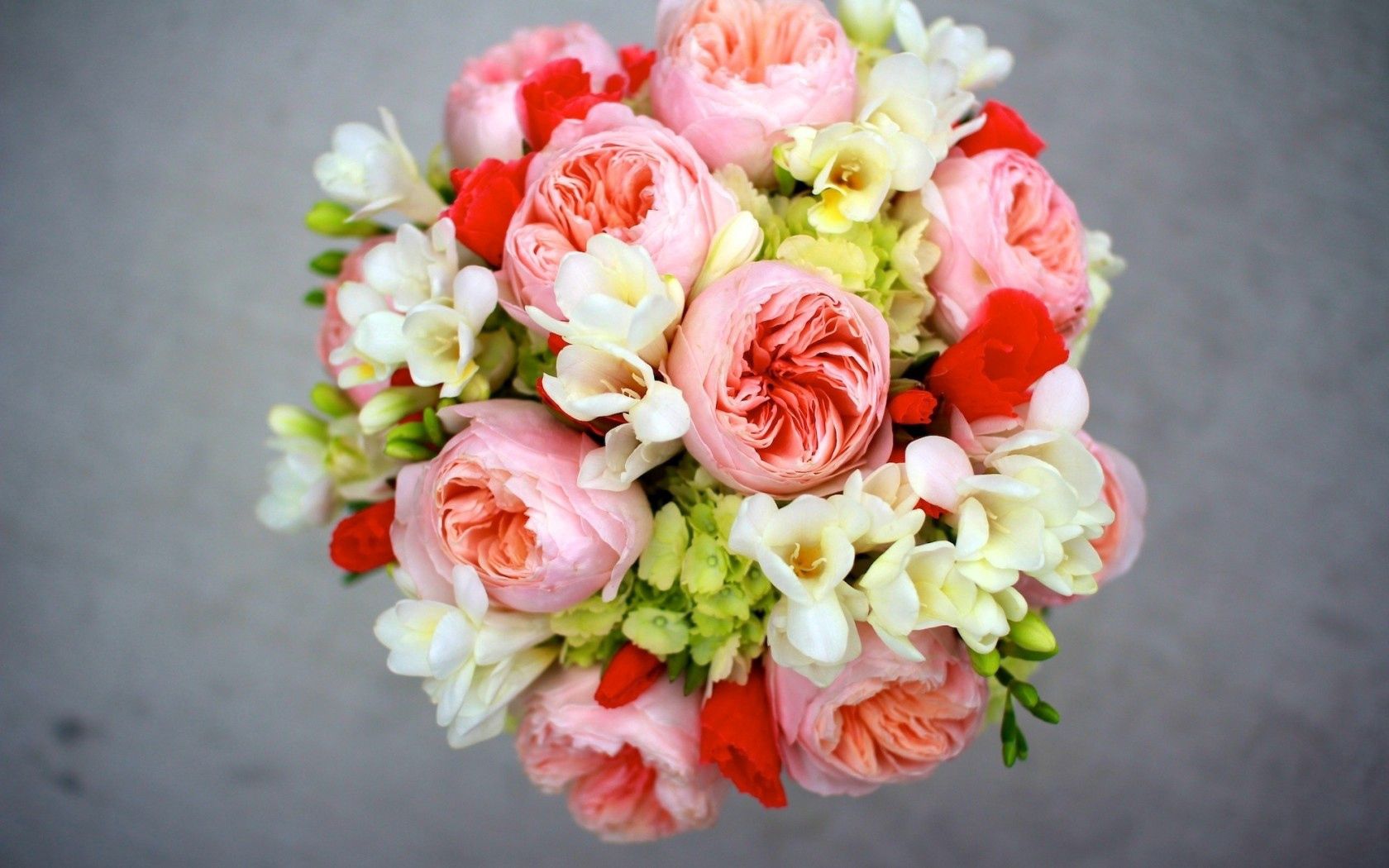 peonies, flowers, bouquet, composition, hydrangea, freesia, freesias HD wallpaper
