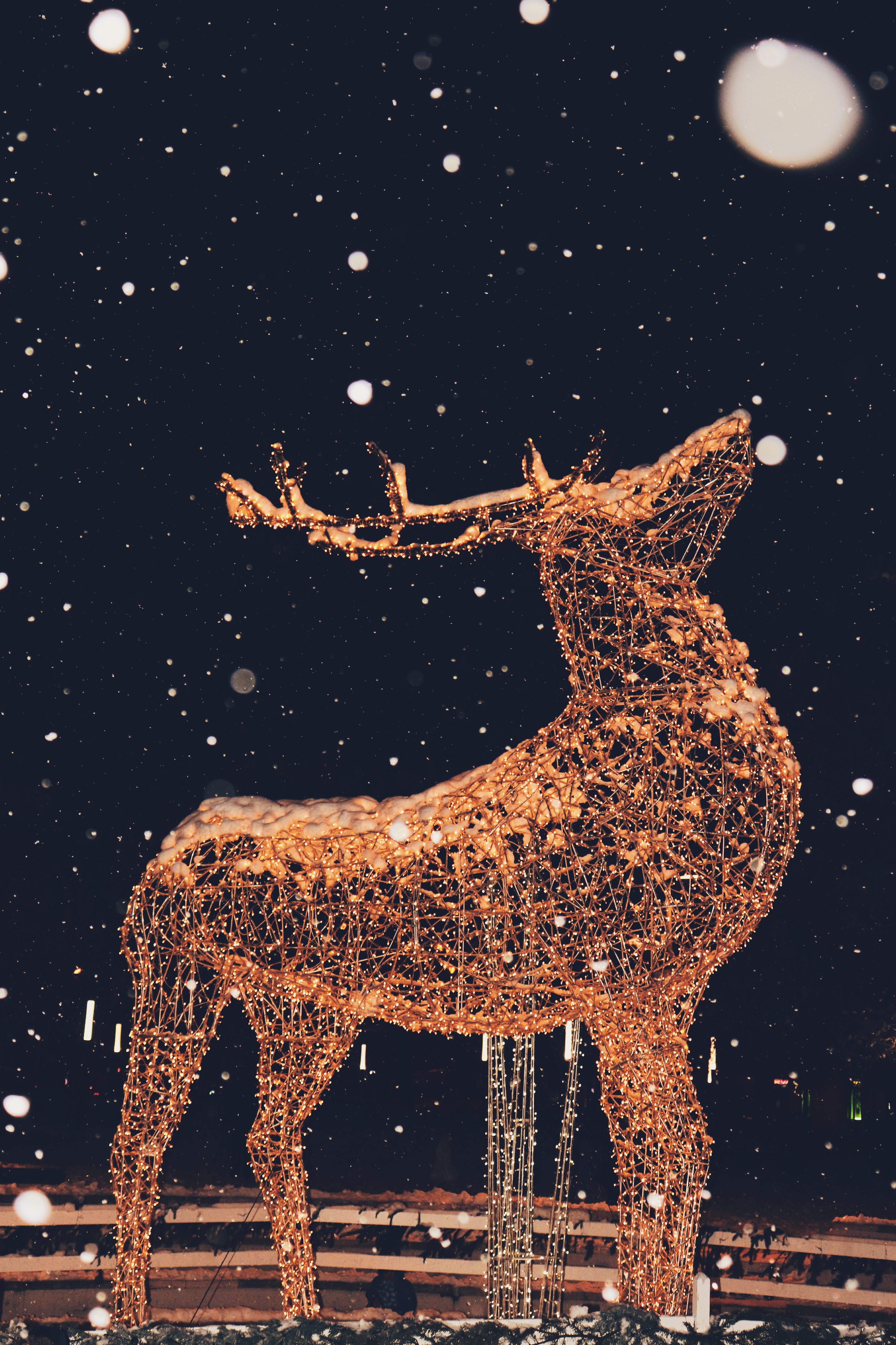 81116 скачать картинку гирлянды, праздничный, разное, снег, скульптура, олень, иллюминация - обои и заставки бесплатно