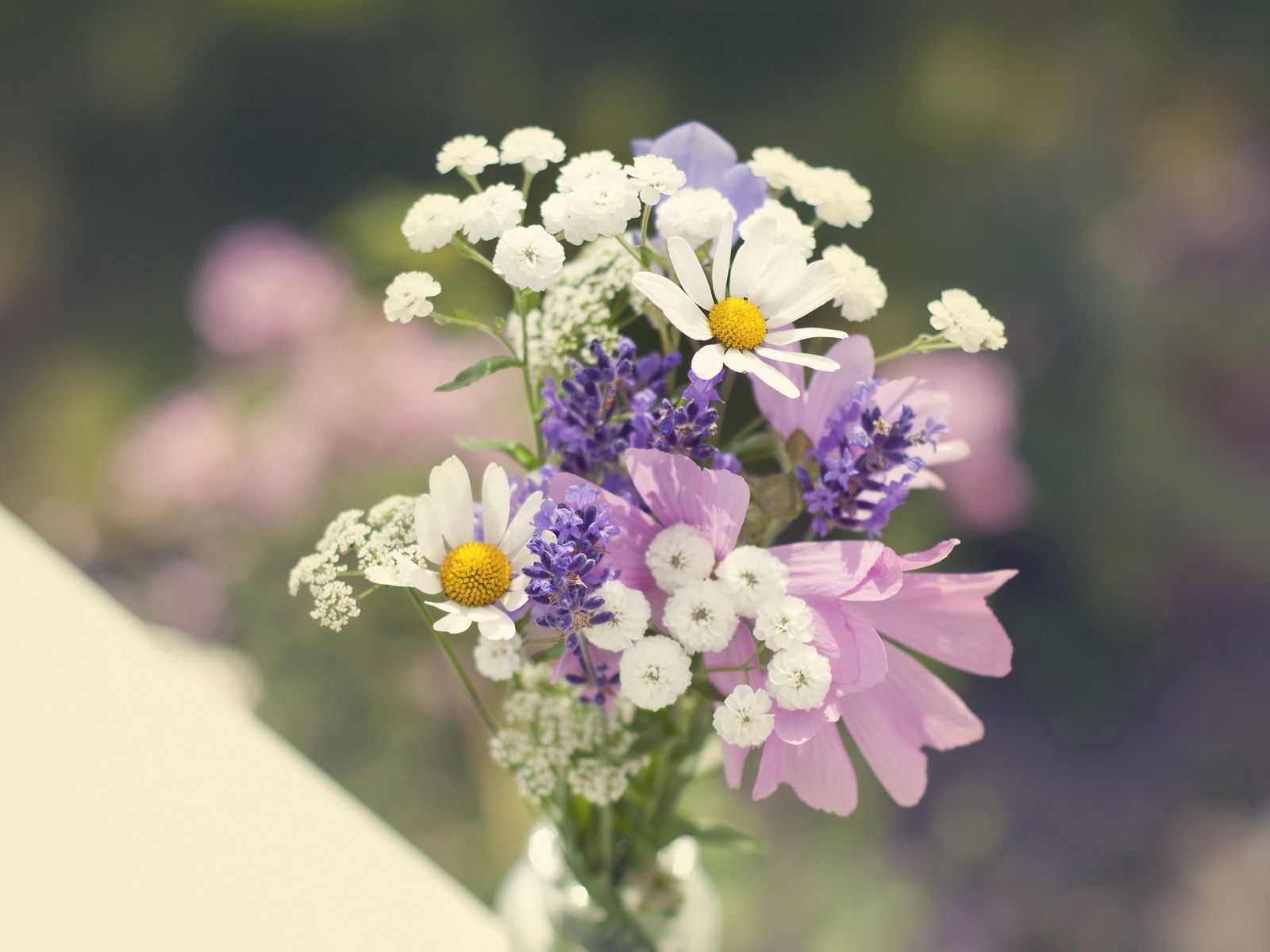 157012 Bildschirmschoner und Hintergrundbilder Blumen auf Ihrem Telefon. Laden Sie  Bilder kostenlos herunter