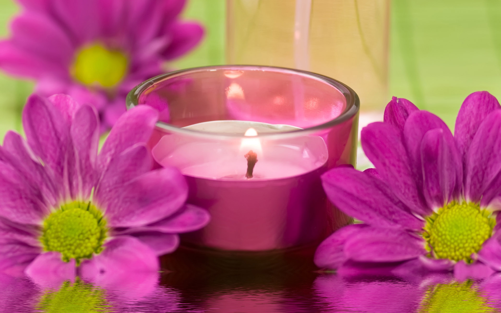photography, candle, daisy, flower for android