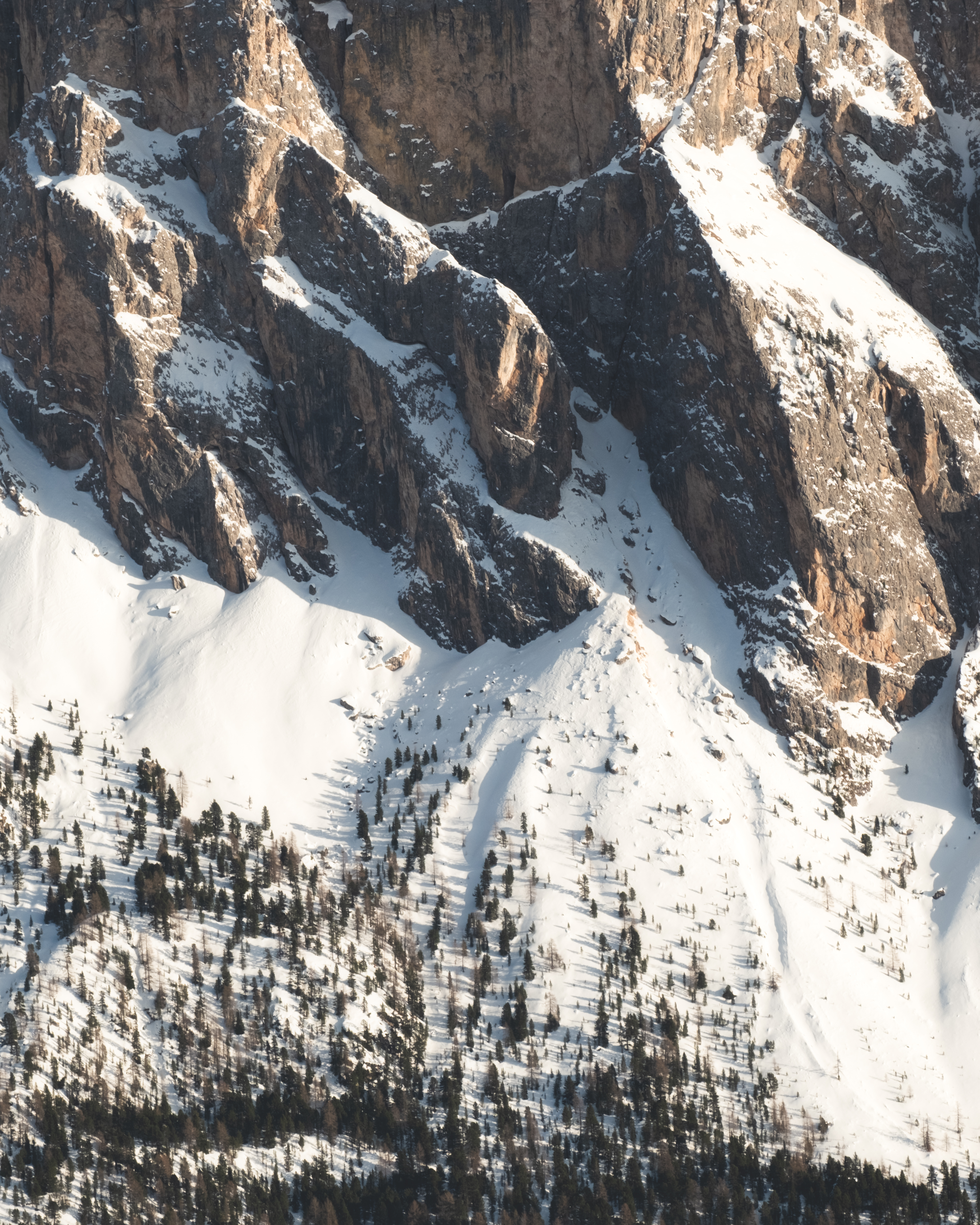 152630 Hintergrundbild herunterladen natur, bäume, schnee, berg, steigung - Bildschirmschoner und Bilder kostenlos