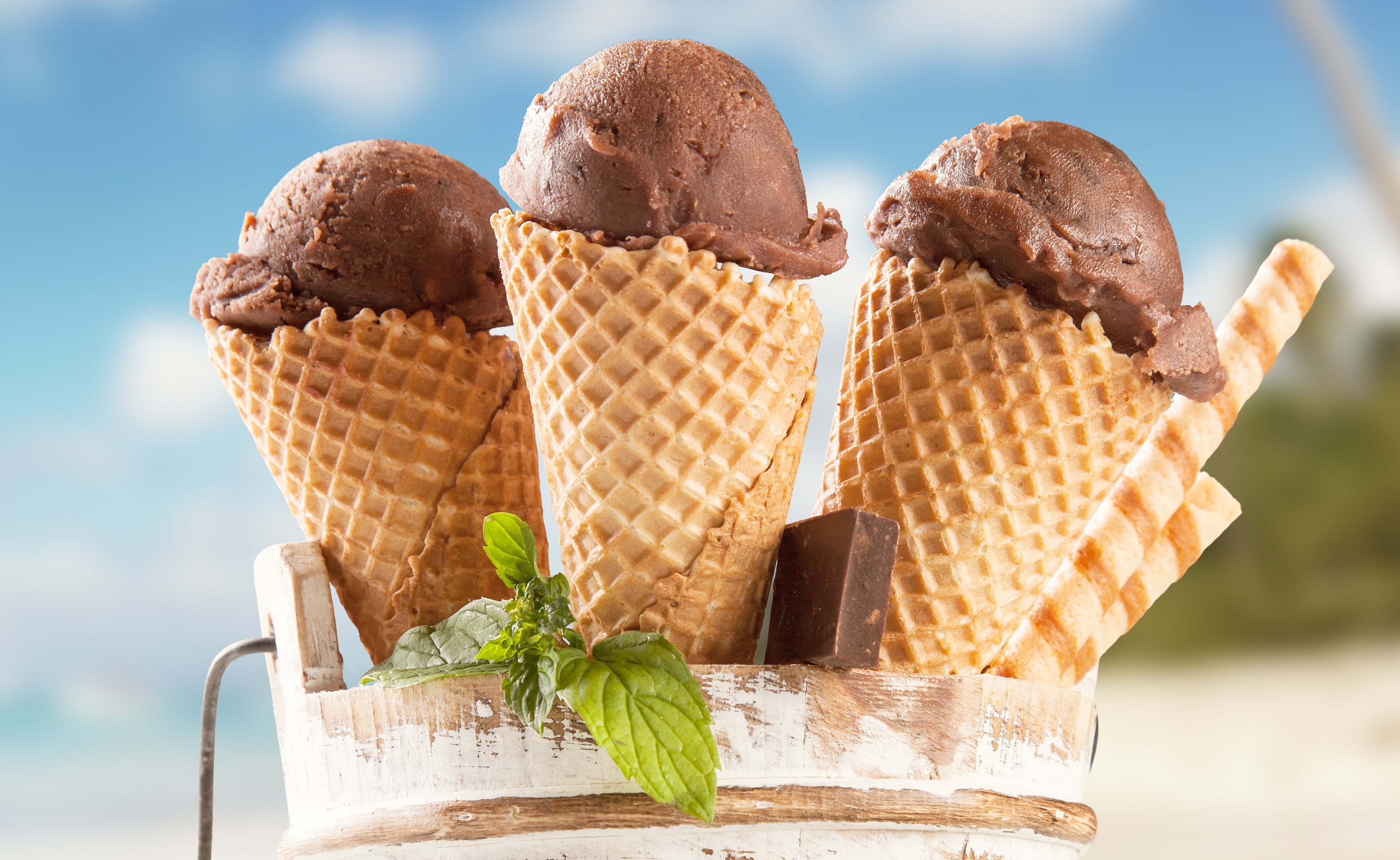 ice cream, food, chocolate, mint, summer