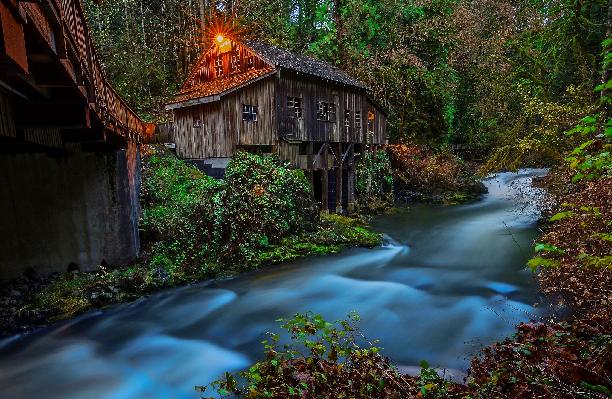 mill, man made, watermill, forest, river, tree