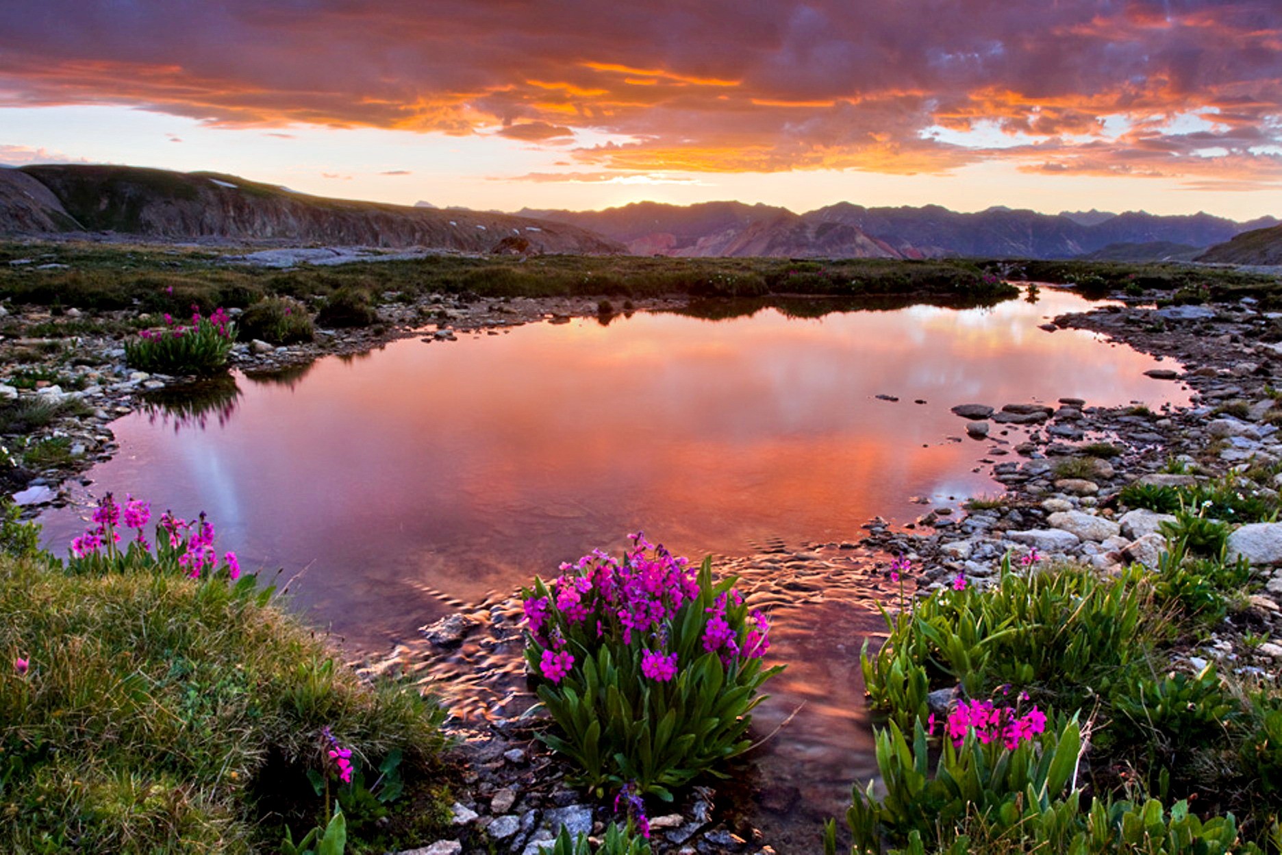 380412 скачать картинку весна, земля/природа, озеро, цветок, гора, закат, полевой цветок, озера - обои и заставки бесплатно