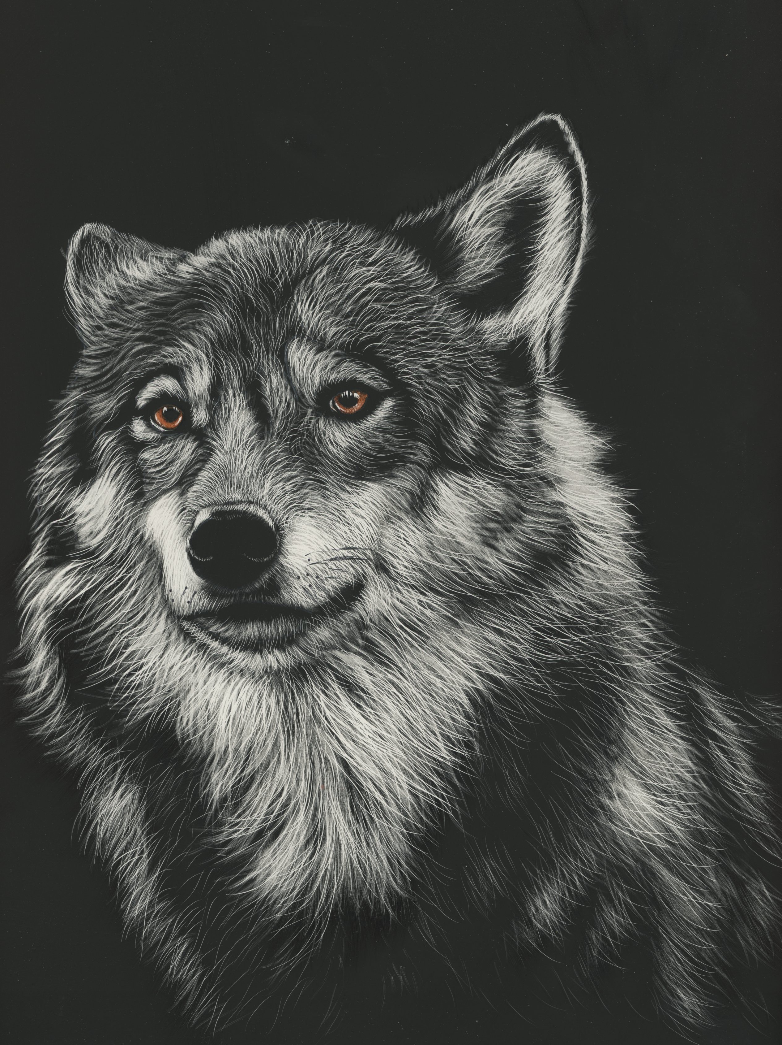 wolf, art, picture, head, drawing, predator
