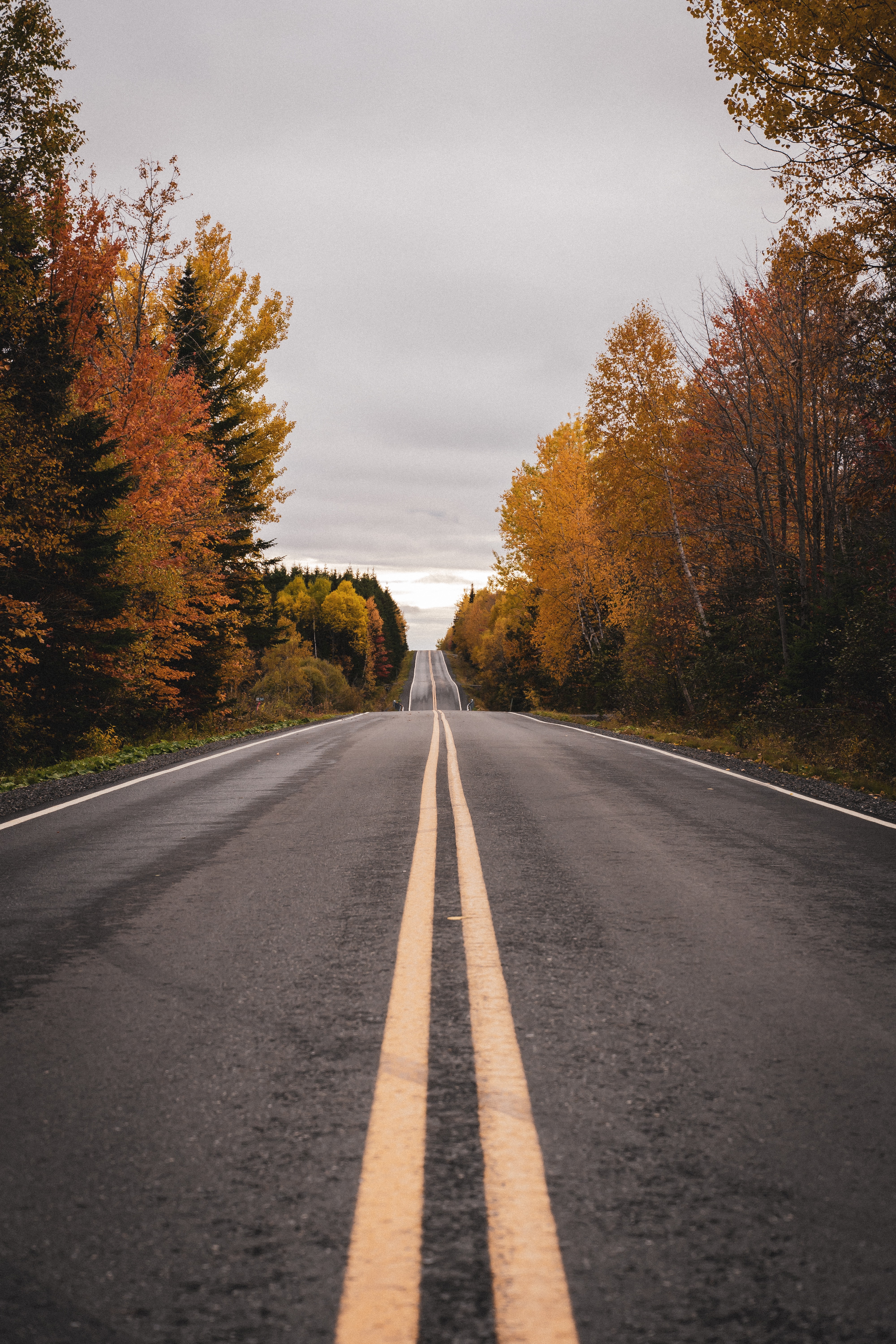 Download mobile wallpaper Road, Markup, Nature, Autumn for free.