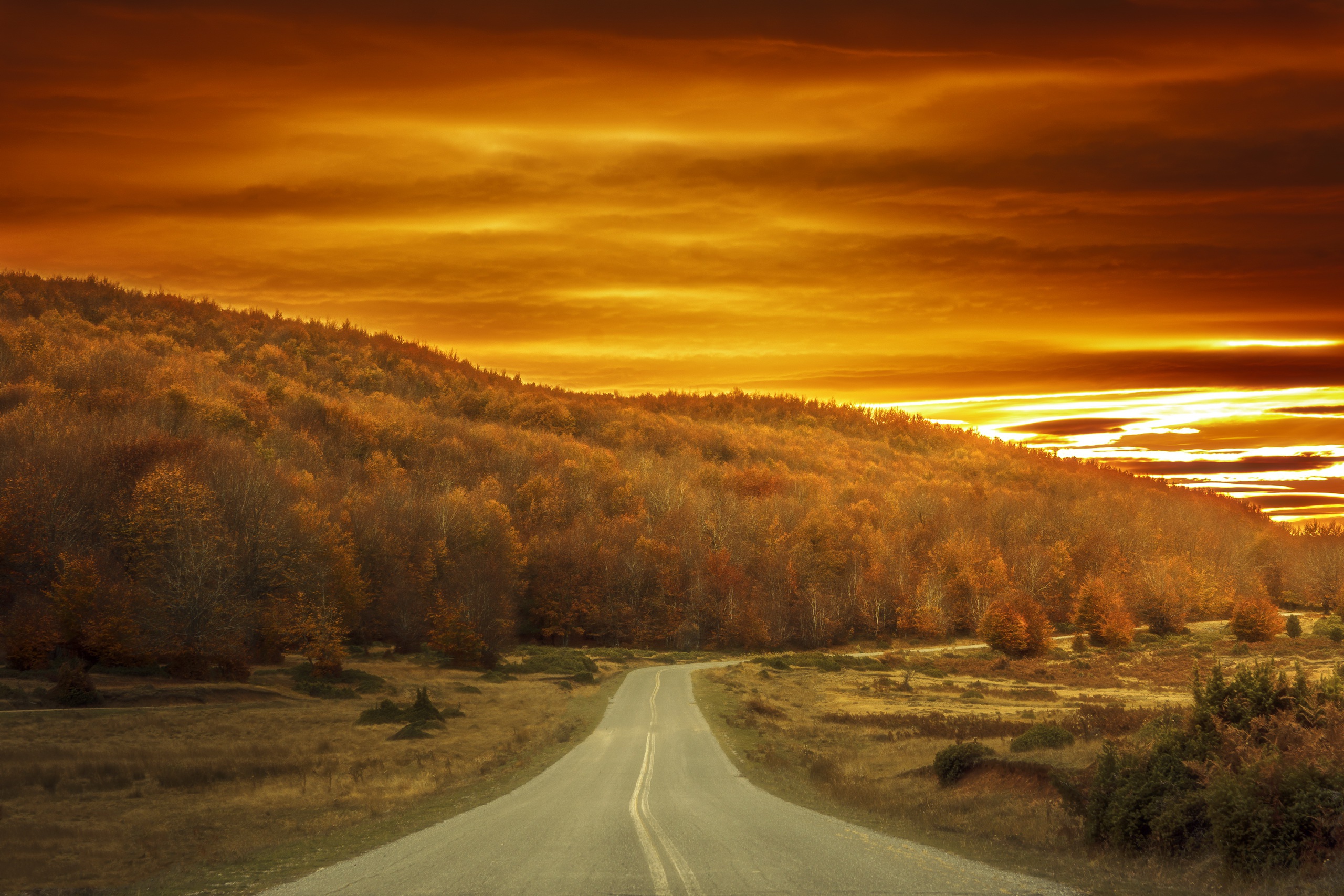 Осенняя дорога в закате
