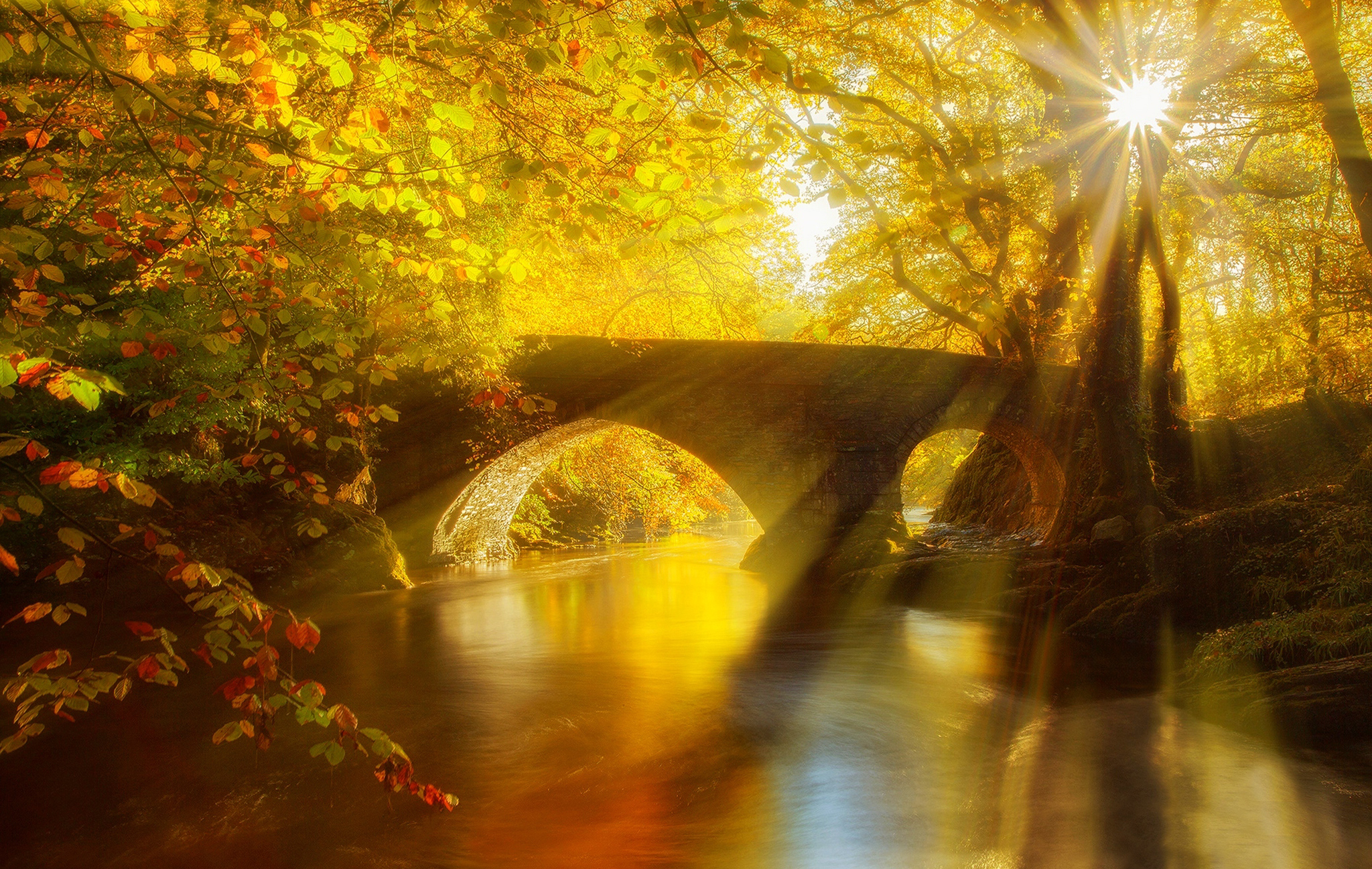 man made, bridge, fall, forest, golden, leaf, nature, river, sun, sunbeam, sunshine, tree, bridges