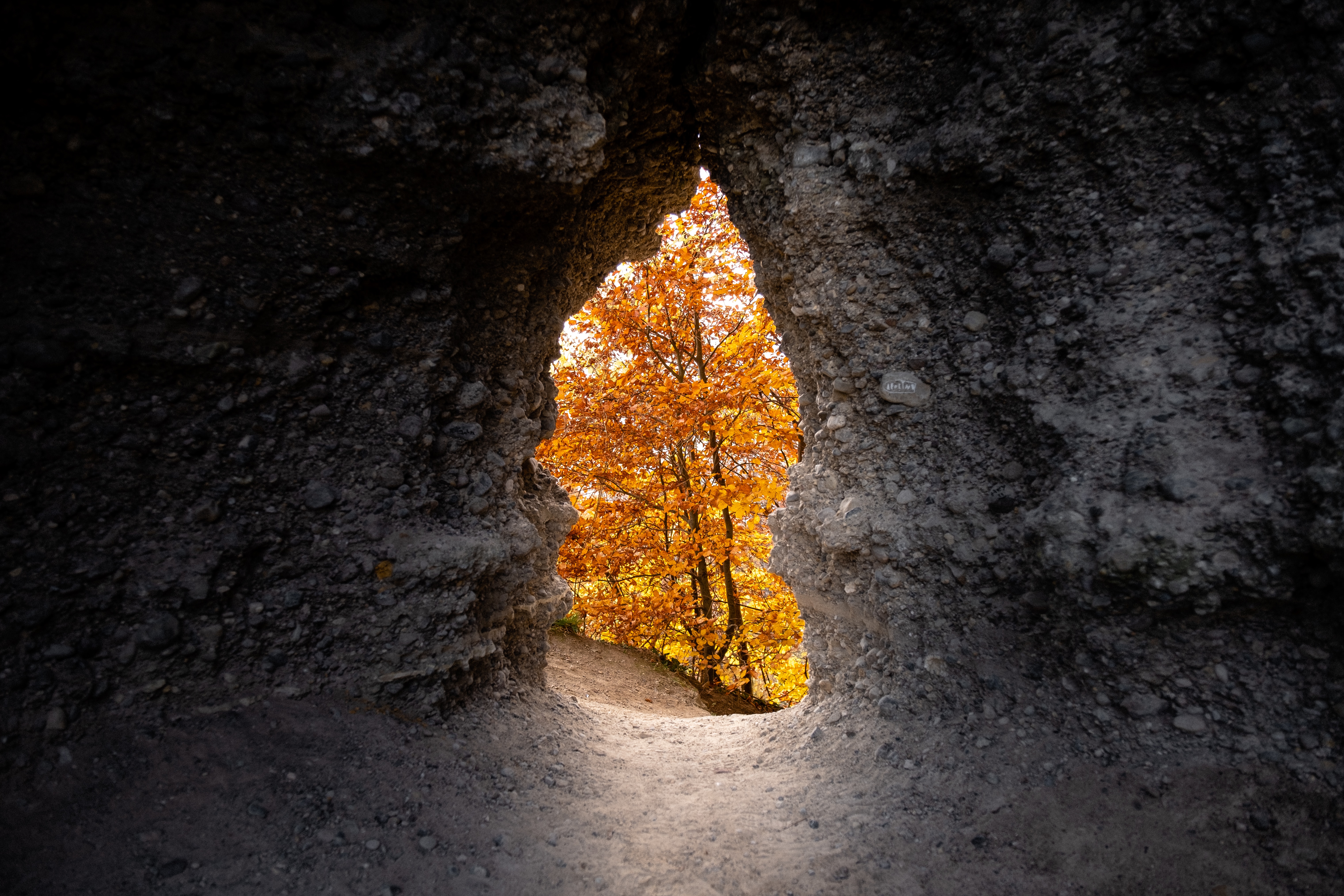 Handy-Wallpaper Natur, Bäume, Höhle, Herbst kostenlos herunterladen.