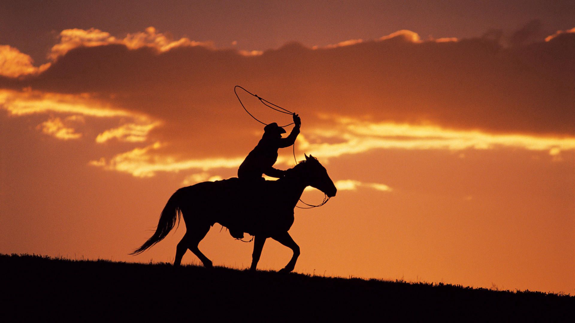 sunset, dark, silhouette, evening, horse, rider, horseman 4K Ultra