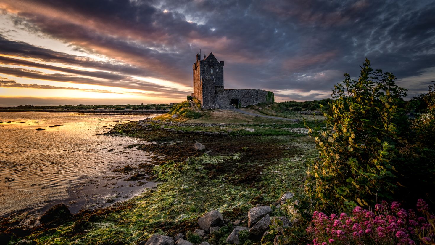 Замок Дангвайр Ирландия