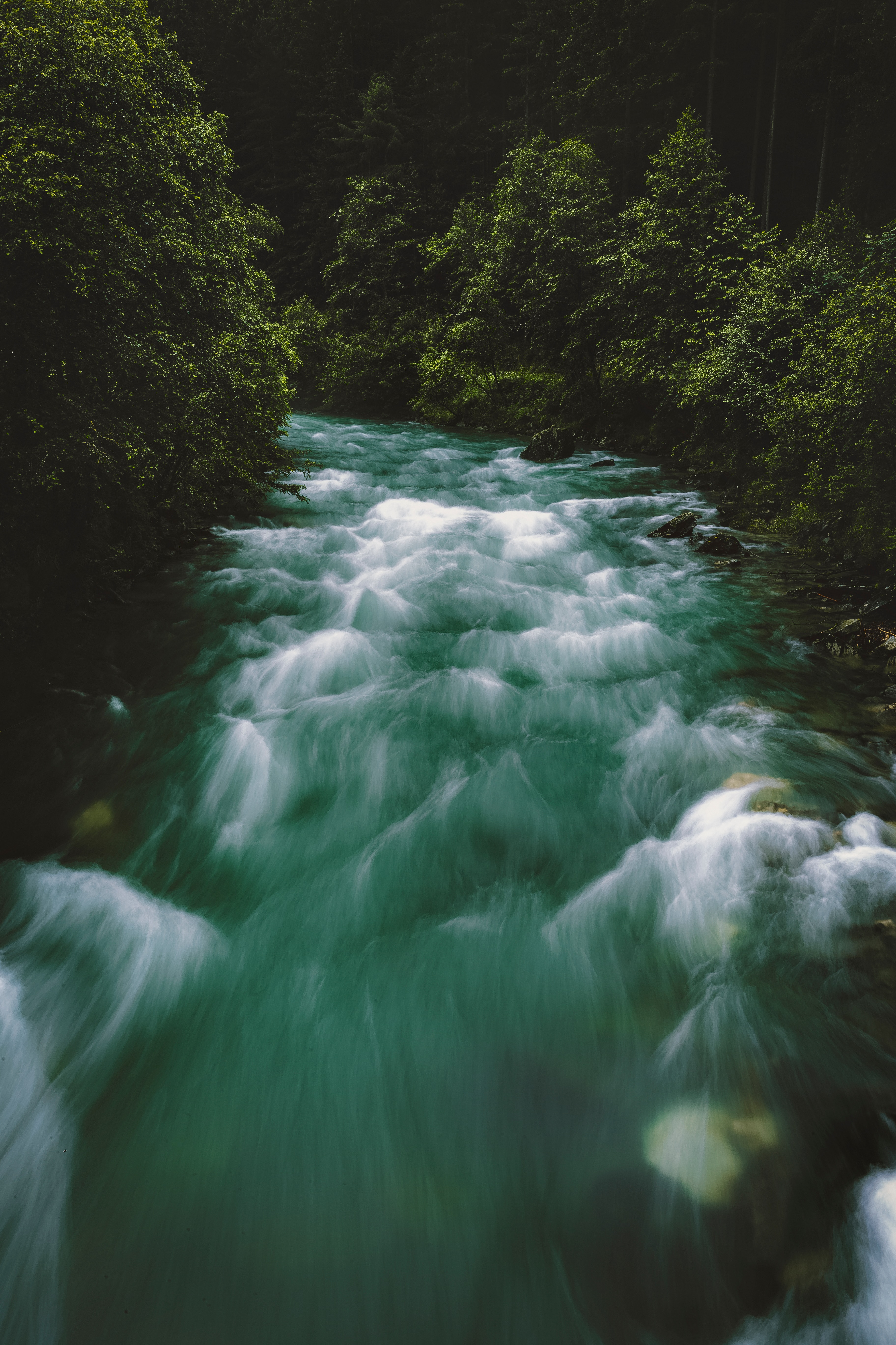 Laden Sie das Fließen, Natur, Bäume, Fluss, Wald, Flüsse-Bild kostenlos auf Ihren PC-Desktop herunter