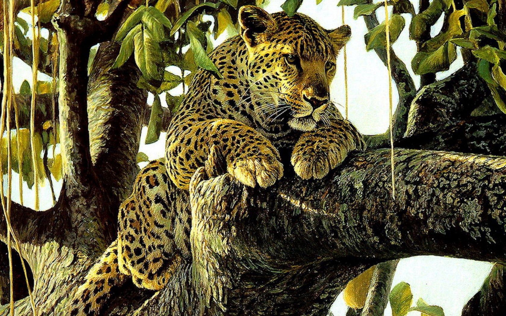 drawing, leopard, animals, art, picture, predator Full HD