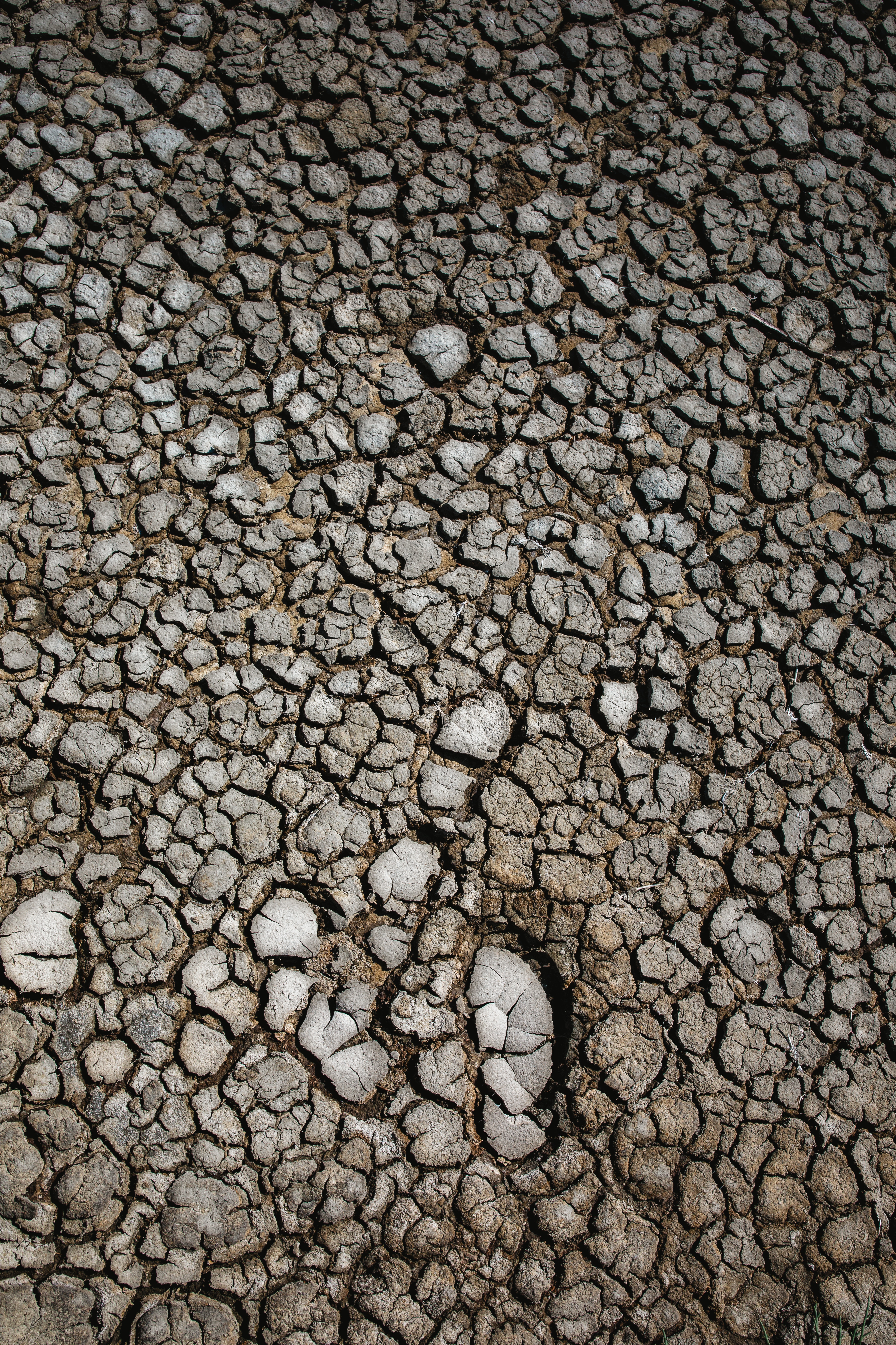 Download mobile wallpaper Drought, Land, Dry, Cracks, Crack, Surface, Texture, Textures, Earth for free.