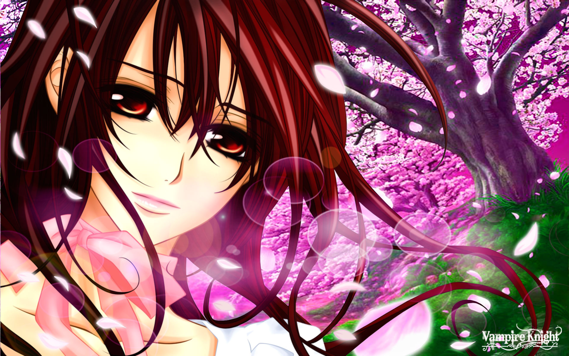 Vampire Knight Cell Phone Wallpapers