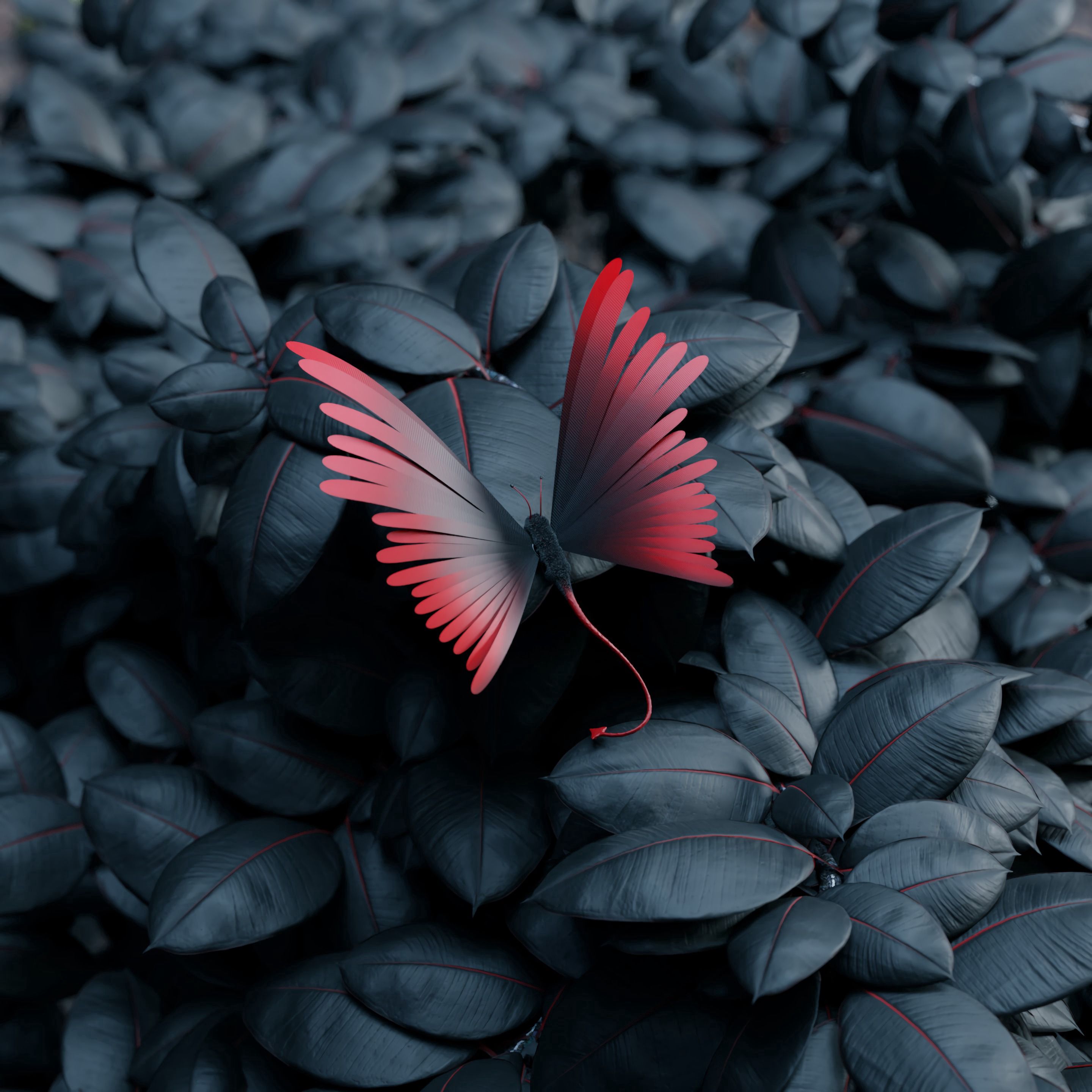 3d, butterfly, leaves, wings, contrast