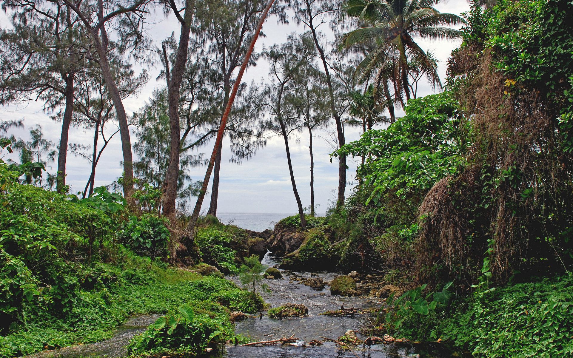 Laden Sie das Natur, Sea, Vegetation, Die Insel, Insel, Hauptsächlich Bewölkt, Bedeckt, Flüsse, Tropen-Bild kostenlos auf Ihren PC-Desktop herunter