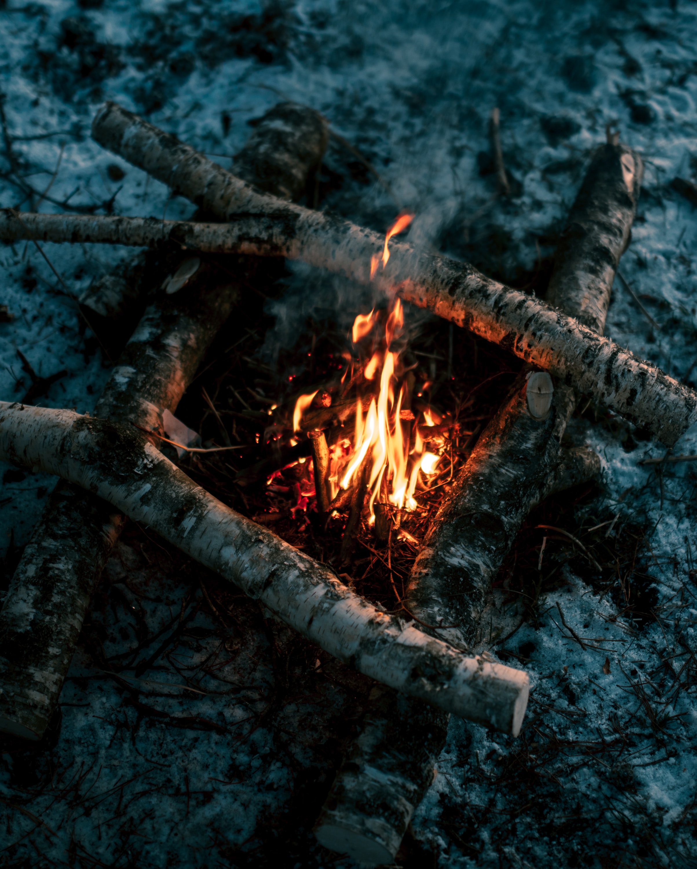 firewood, bonfire, fire, nature, flame 2160p