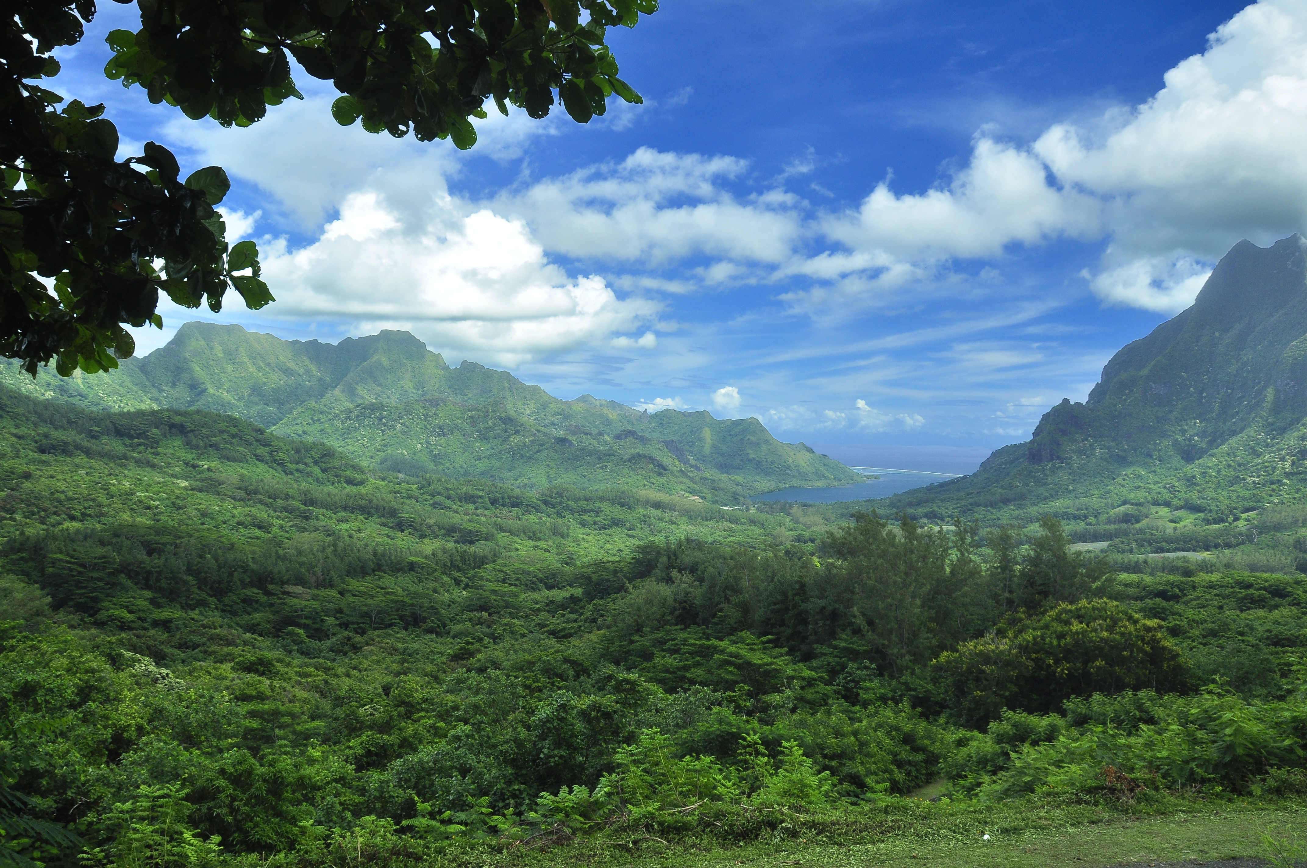 682052 Hintergrundbild herunterladen erde/natur, landschaft, französisch polynesien, insel, moorea, tahiti, tropen - Bildschirmschoner und Bilder kostenlos