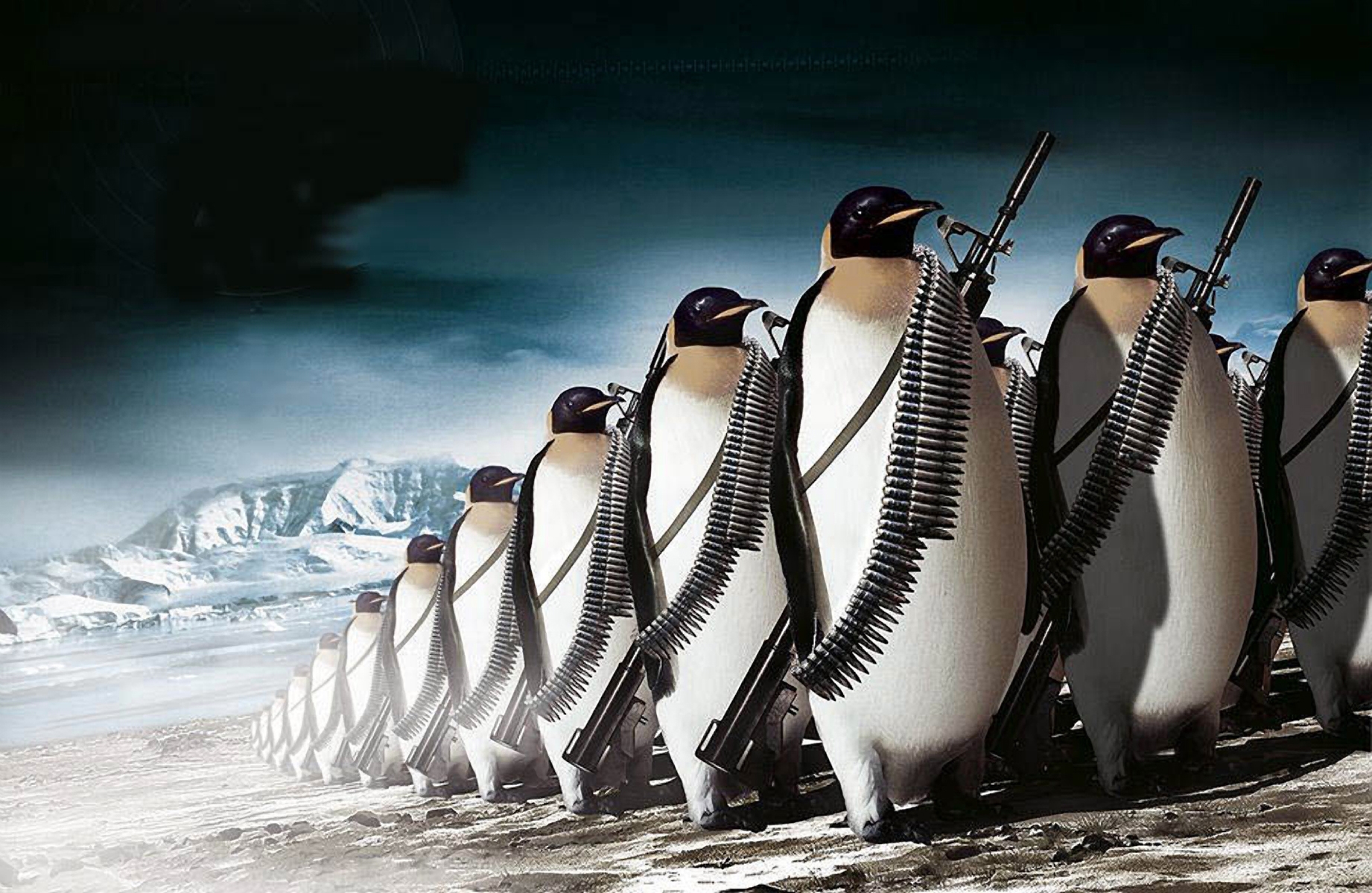 penguin, other, military, ice, snow phone wallpaper