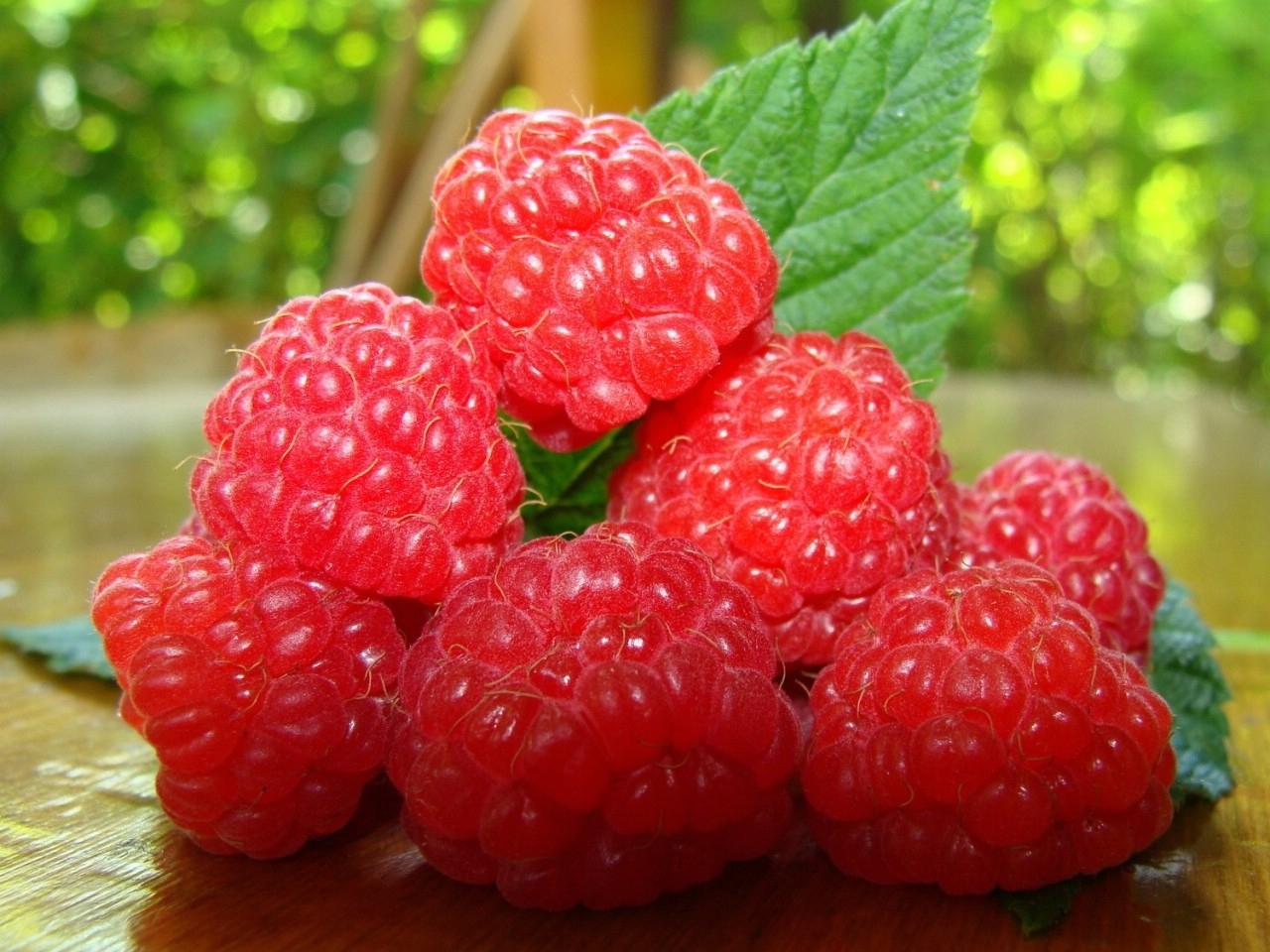 Download mobile wallpaper Raspberry, Food, Fruits for free.