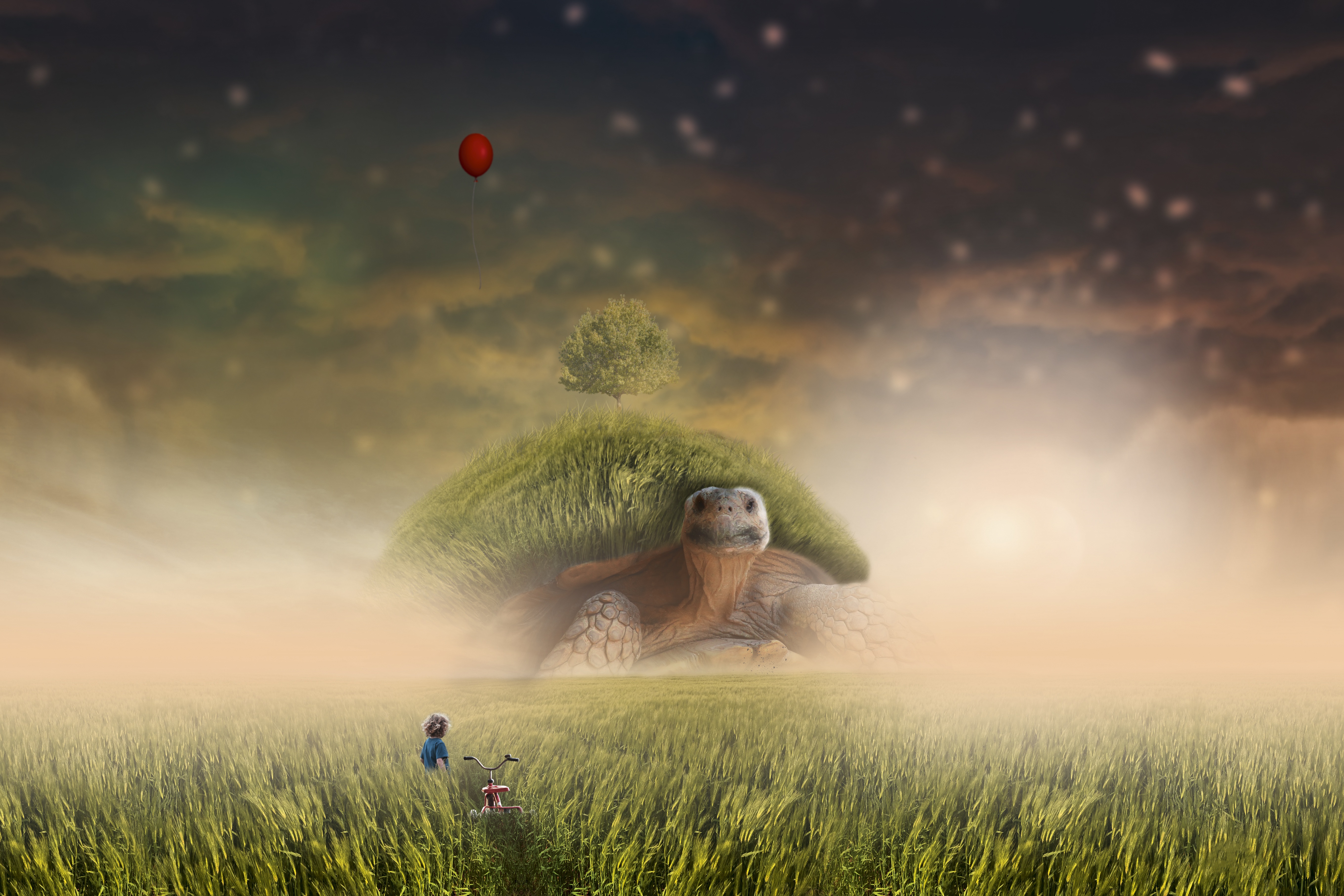 turtle, grass, art, field, photoshop, child, bicycle Full HD
