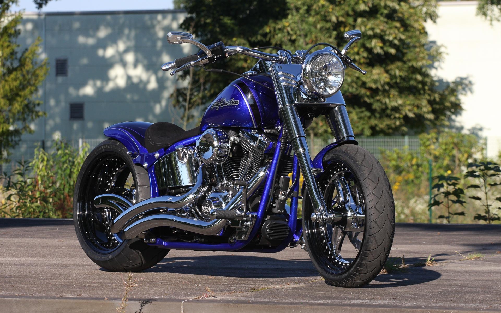 Harley Davidson Softail fat boy Custom