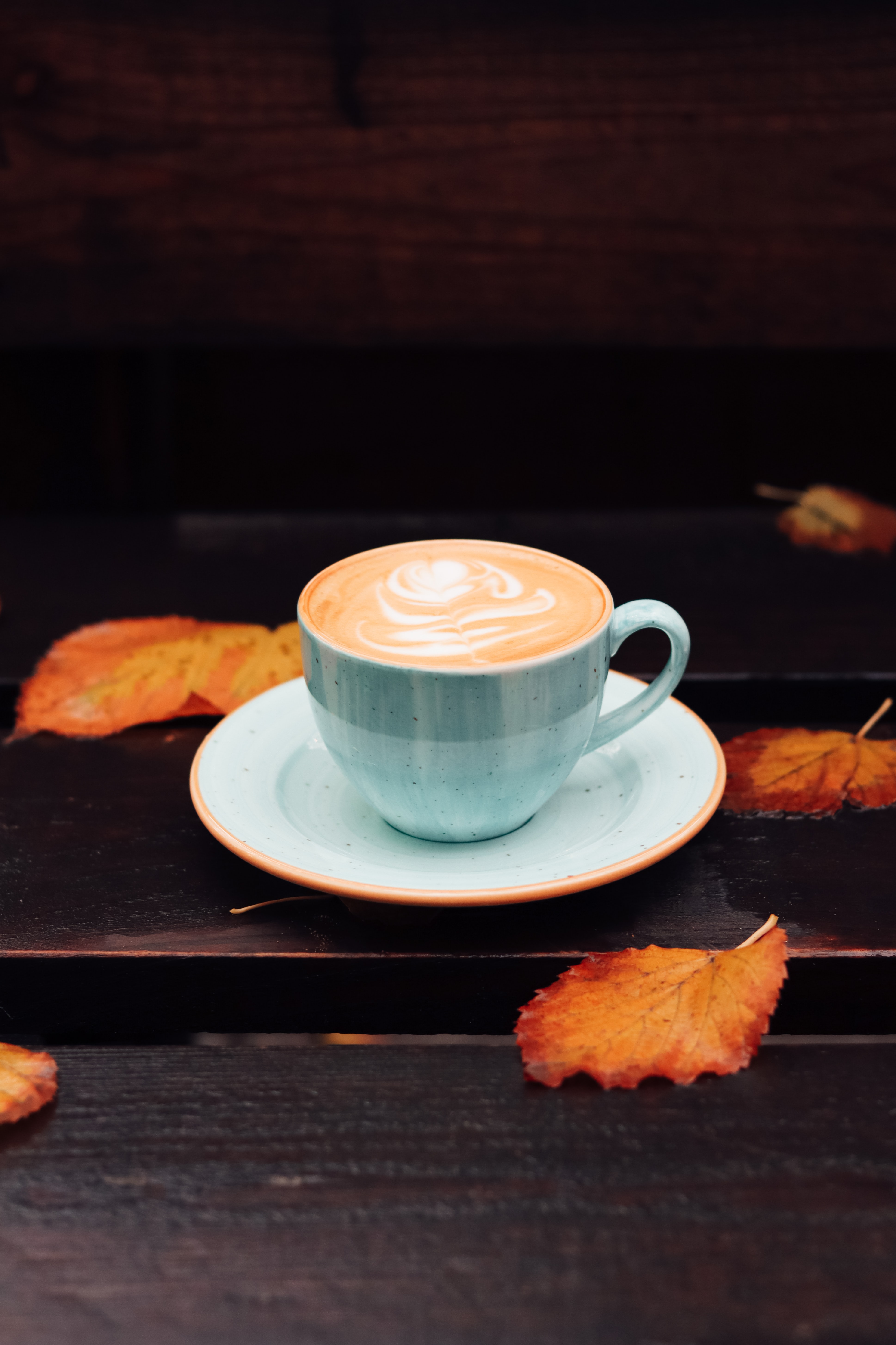 Download mobile wallpaper Leaves, Food, Cup, Autumn, Coffee for free.