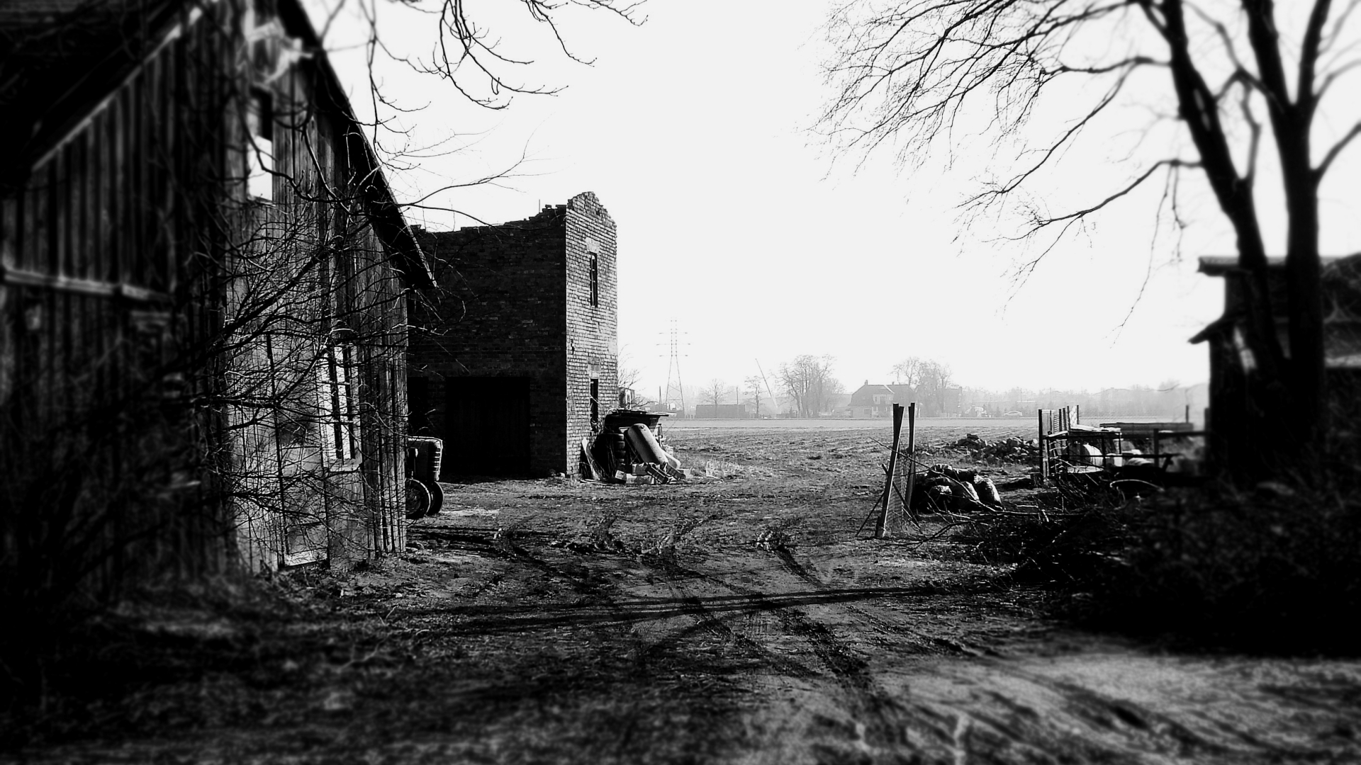 photography, black & white, barn, farm cellphone