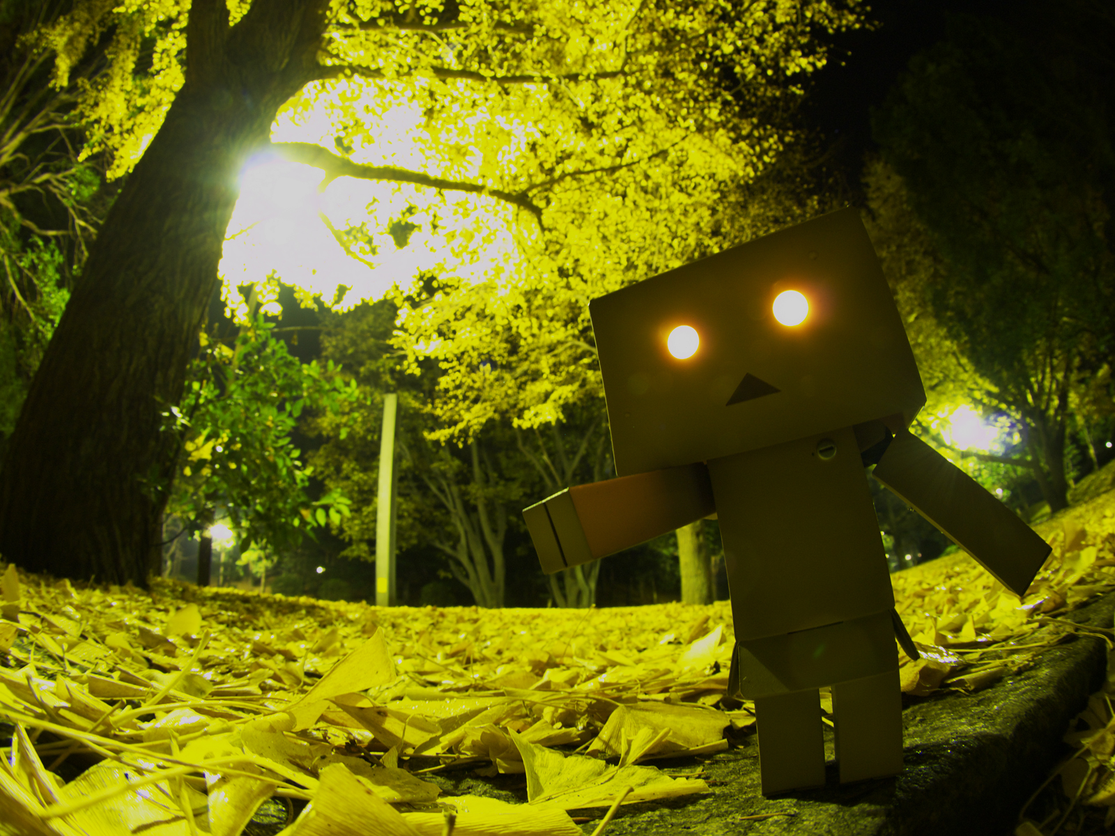 1920 x 1080 picture misc, danbo