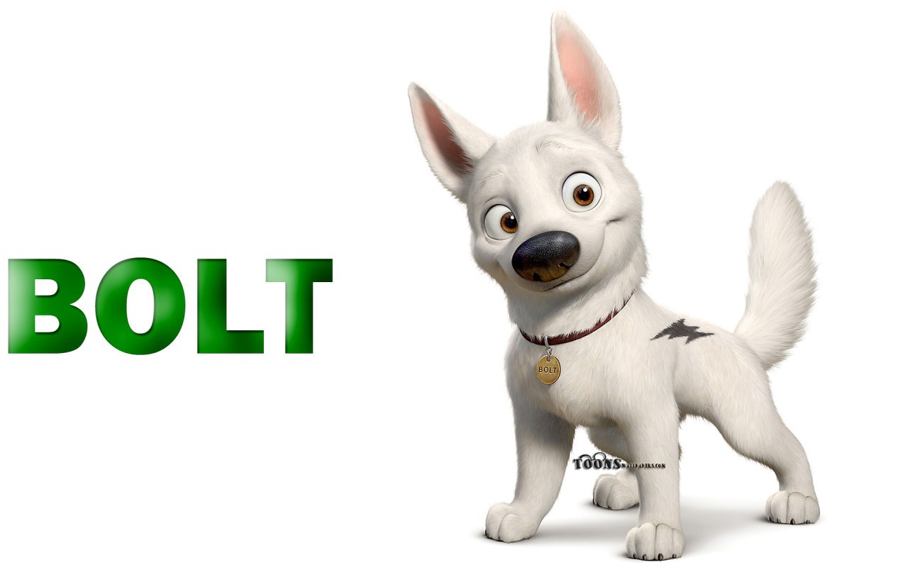 Bolt собака