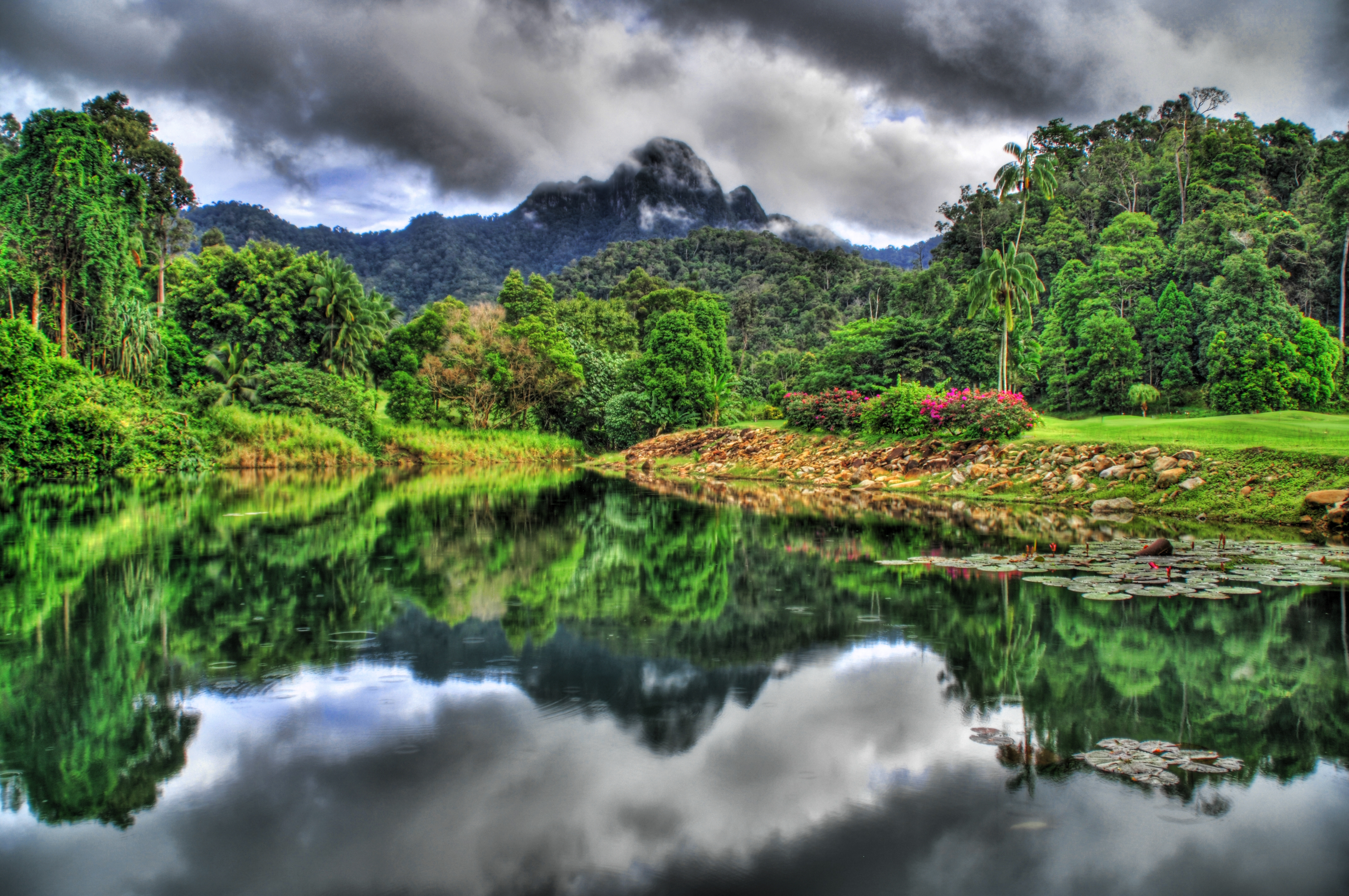 683021 descargar imagen jungla, tierra/naturaleza, niebla, hdr, isla langkawi, malasia, reflejo: fondos de pantalla y protectores de pantalla gratis