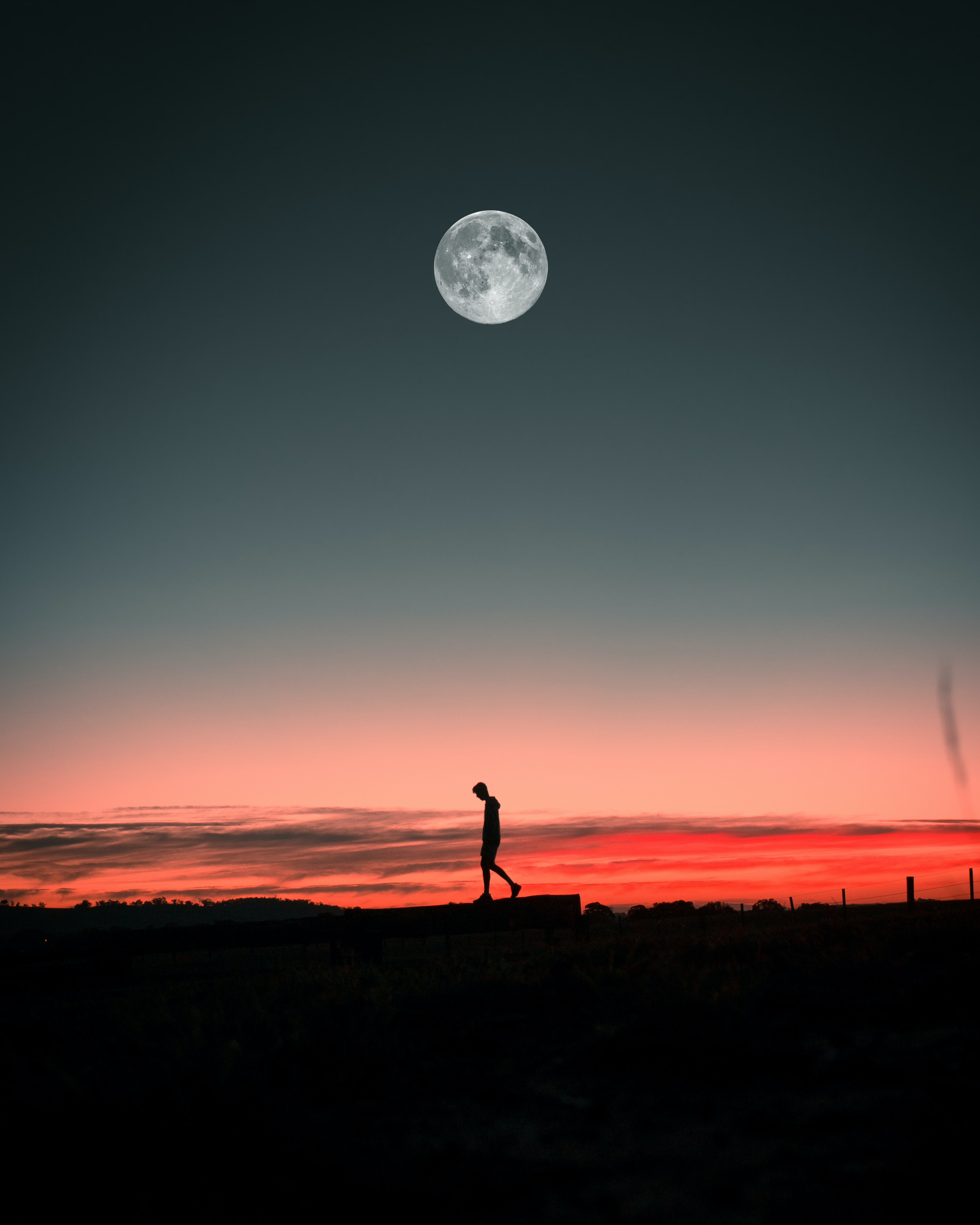 alone, moon, lonely, loneliness, silhouette, sunset, miscellanea, miscellaneous HD wallpaper