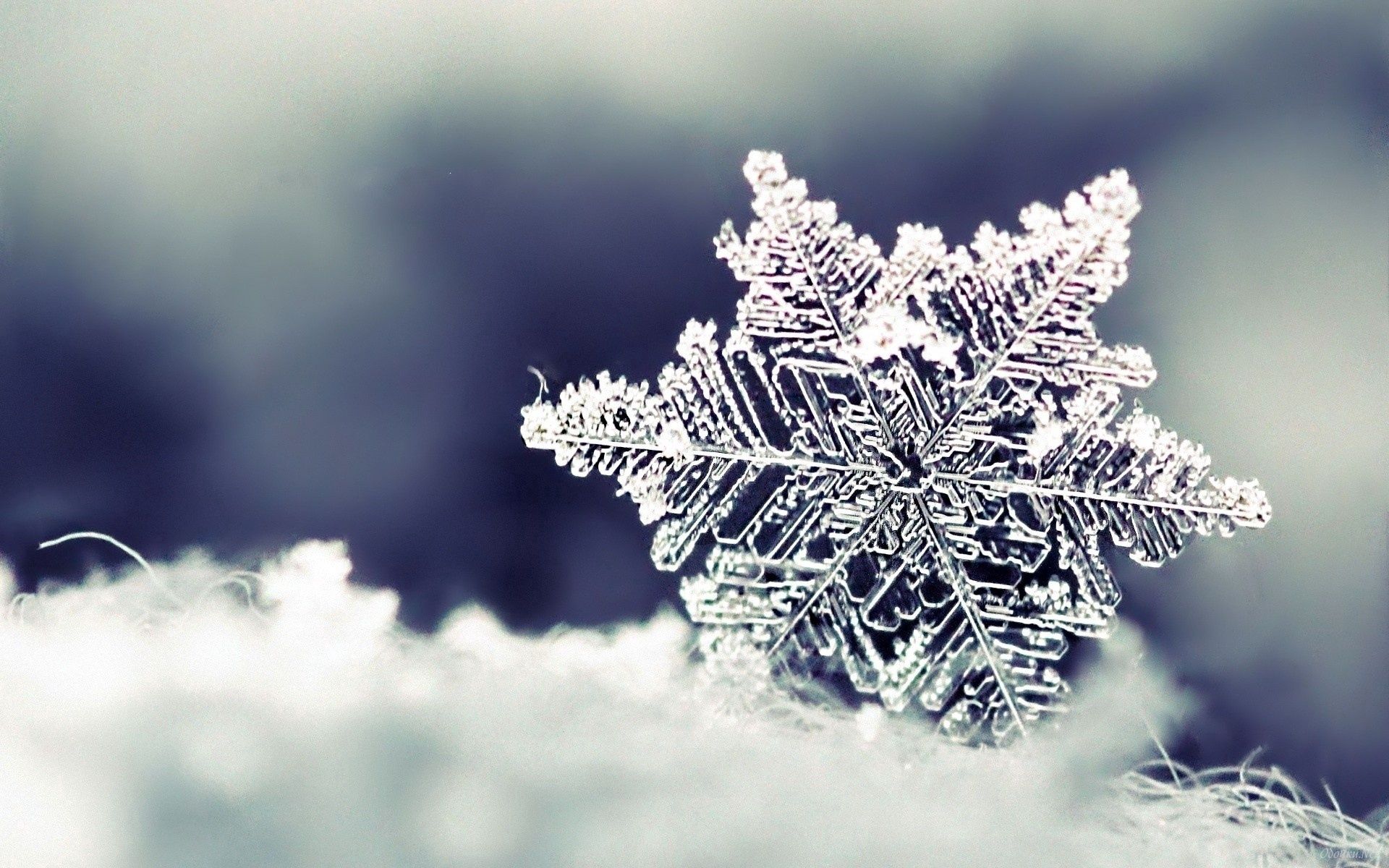 Download PC Wallpaper snowflake, winter, snow, macro