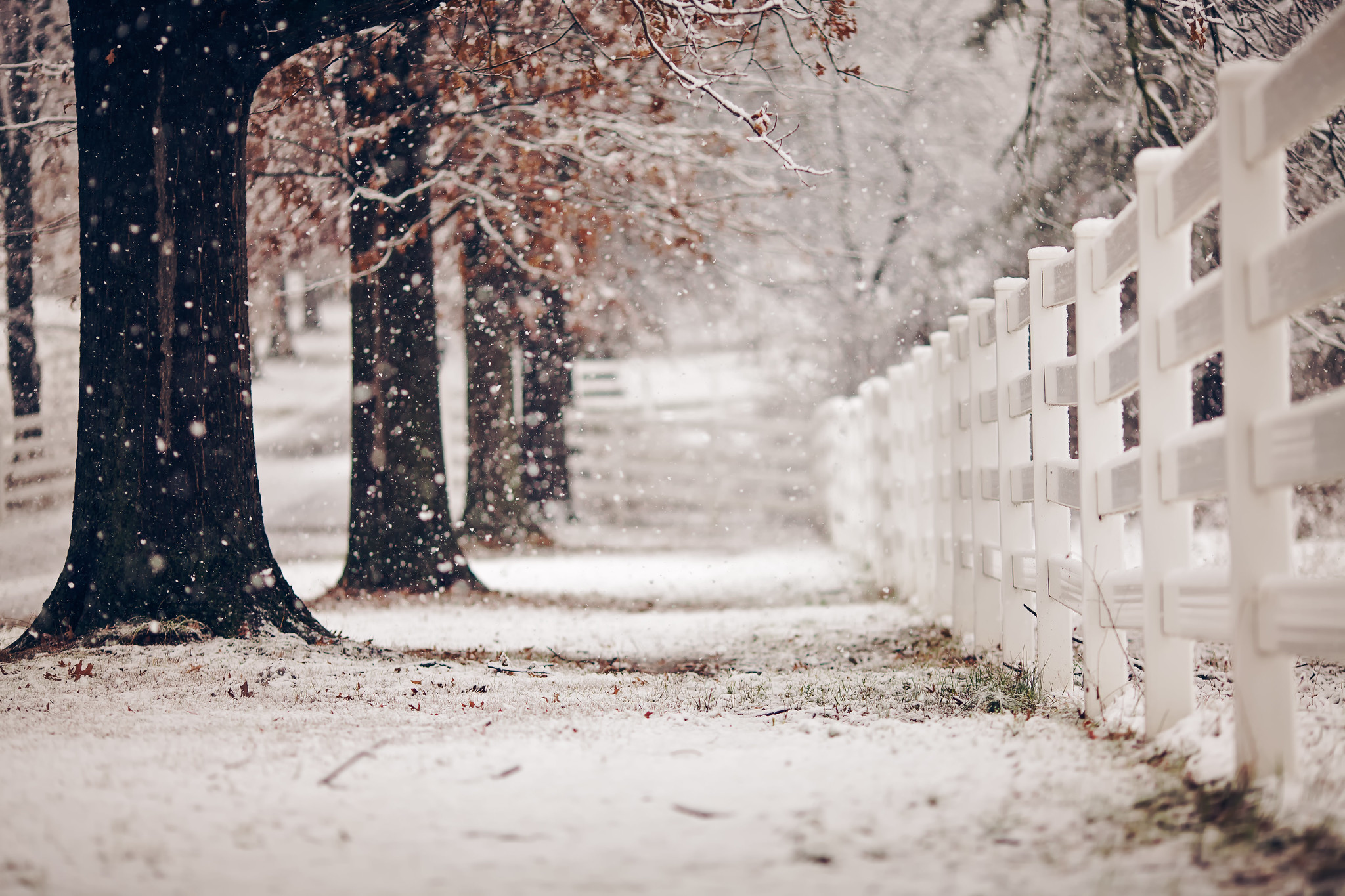Красивая картинка со снегом. Снег на улице. Зимняя улица. Зимний забор. Зима снег.